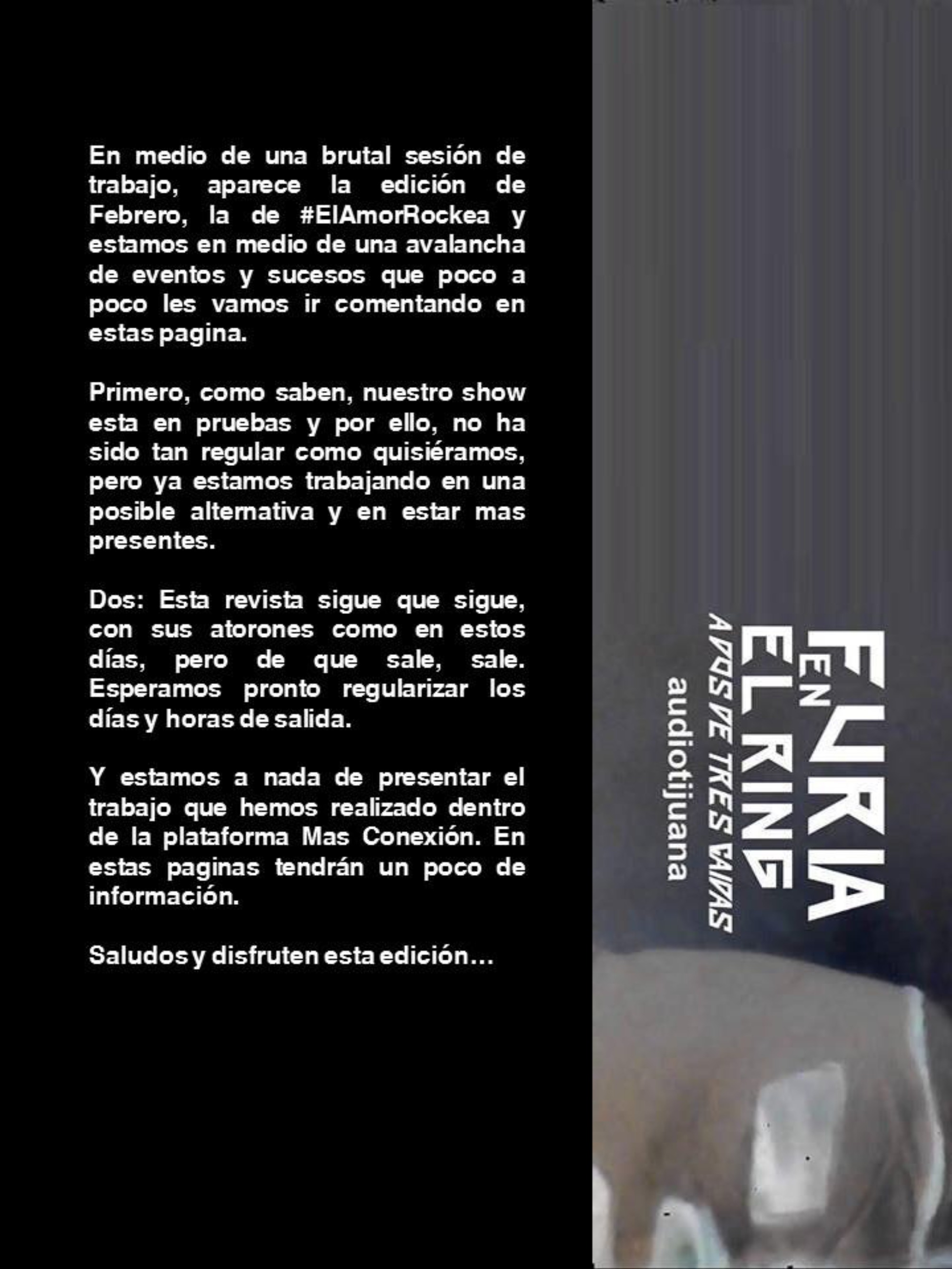 EN TIJUANA HAY ROCK REVISTA - EDICIÓN 79 — page 5