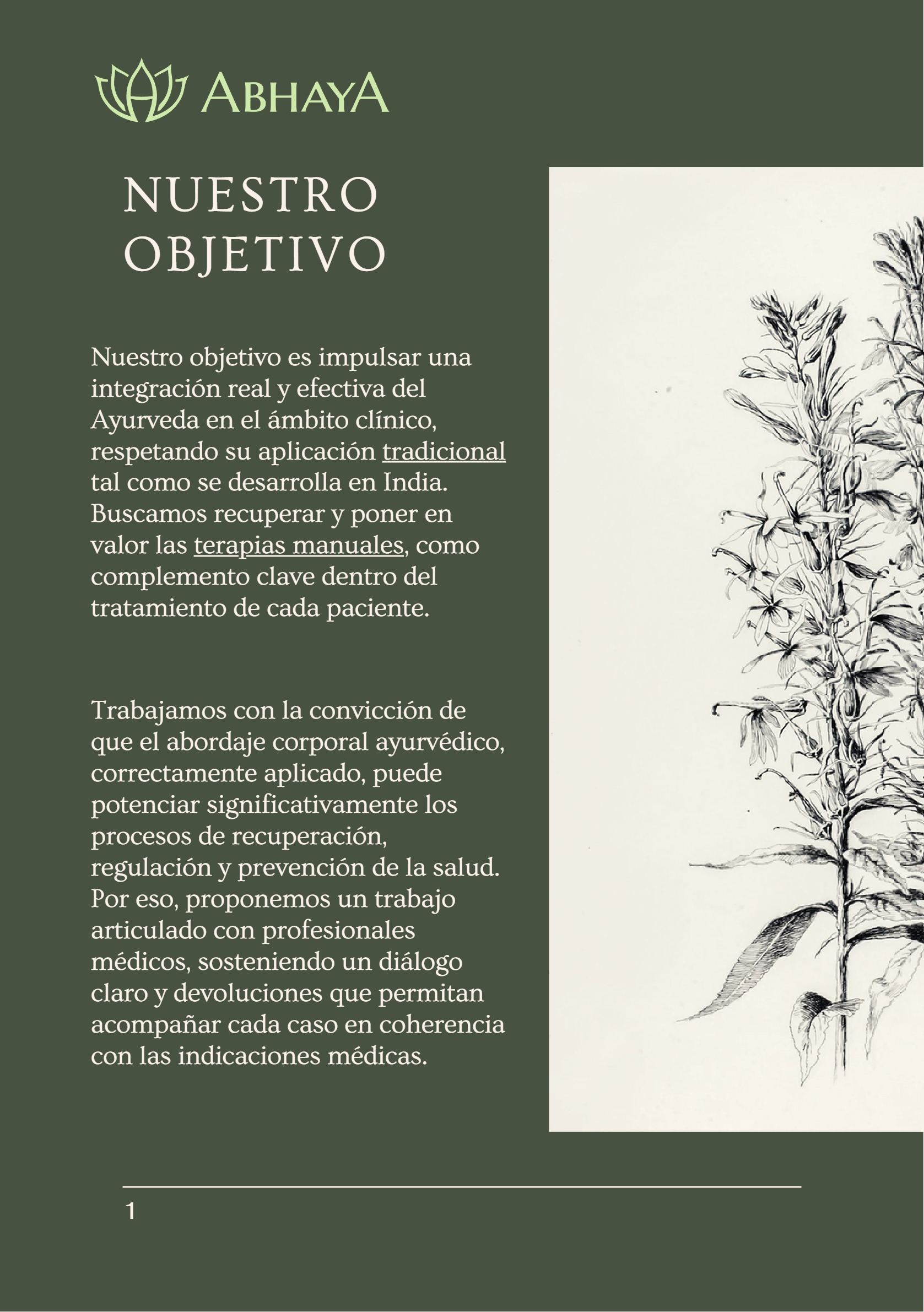 Brochure para médicos — page 2