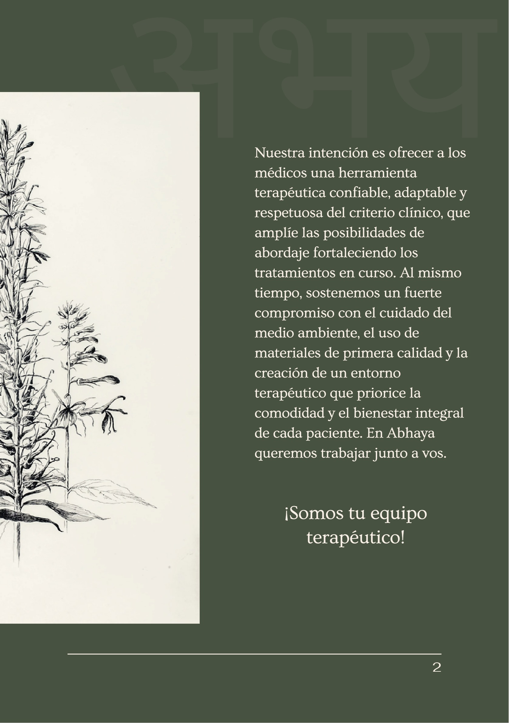 Brochure para médicos — page 3