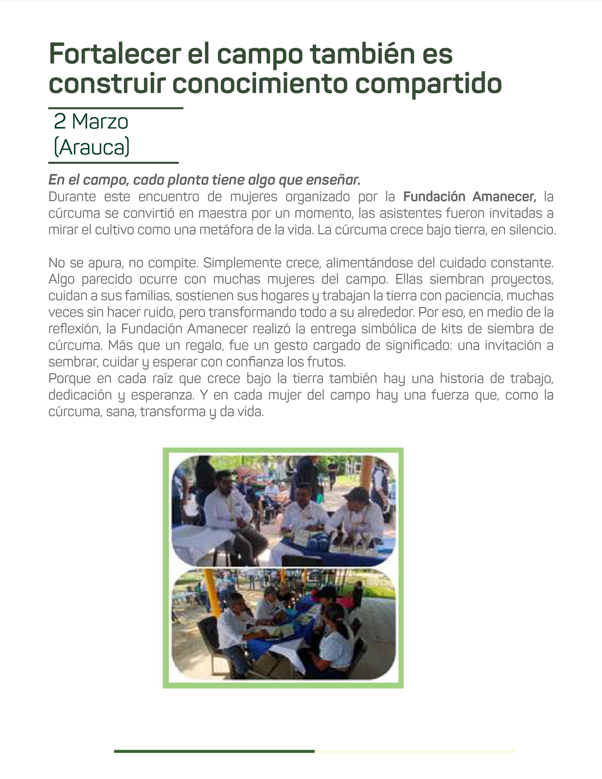Boletín_Bimensual_Fundación Amanecer — page 12