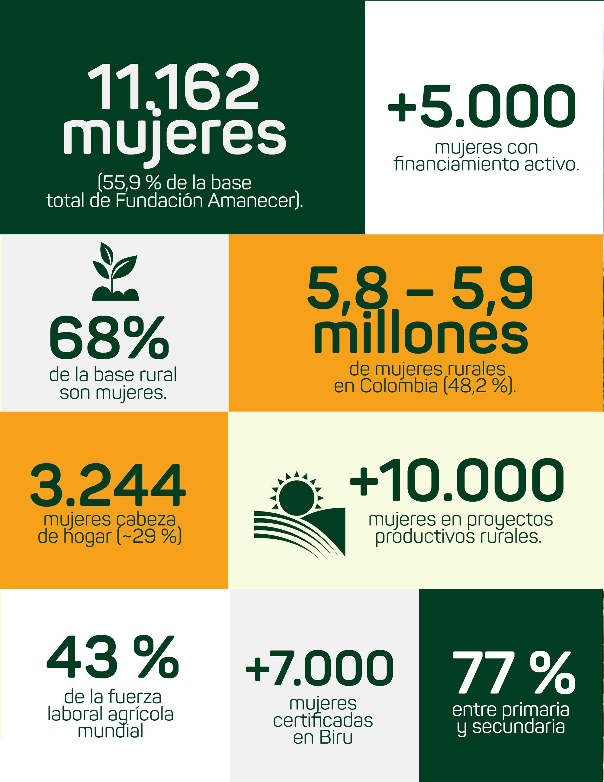 Boletín_Bimensual_Fundación Amanecer — page 5