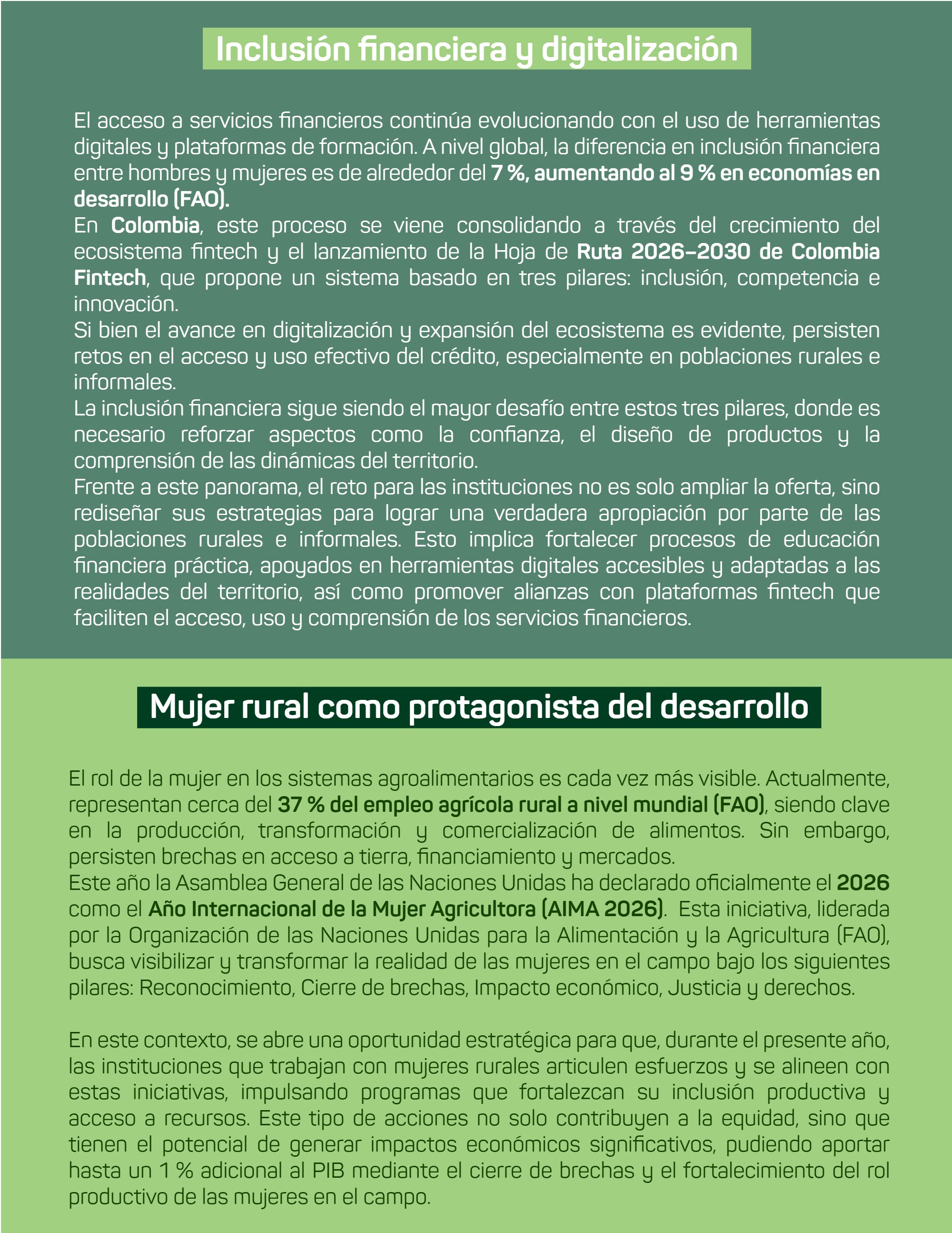 Boletín_Bimensual_Fundación Amanecer — page 41