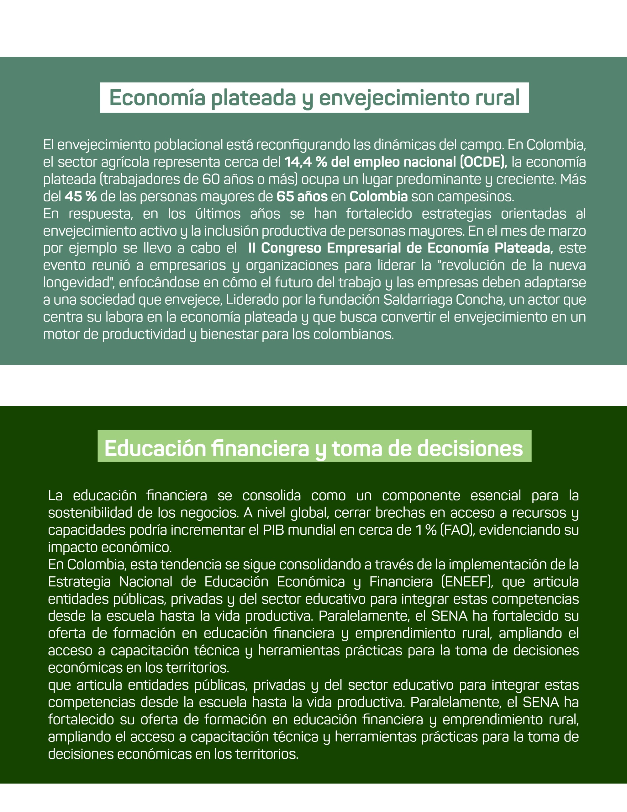 Boletín_Bimensual_Fundación Amanecer — page 42