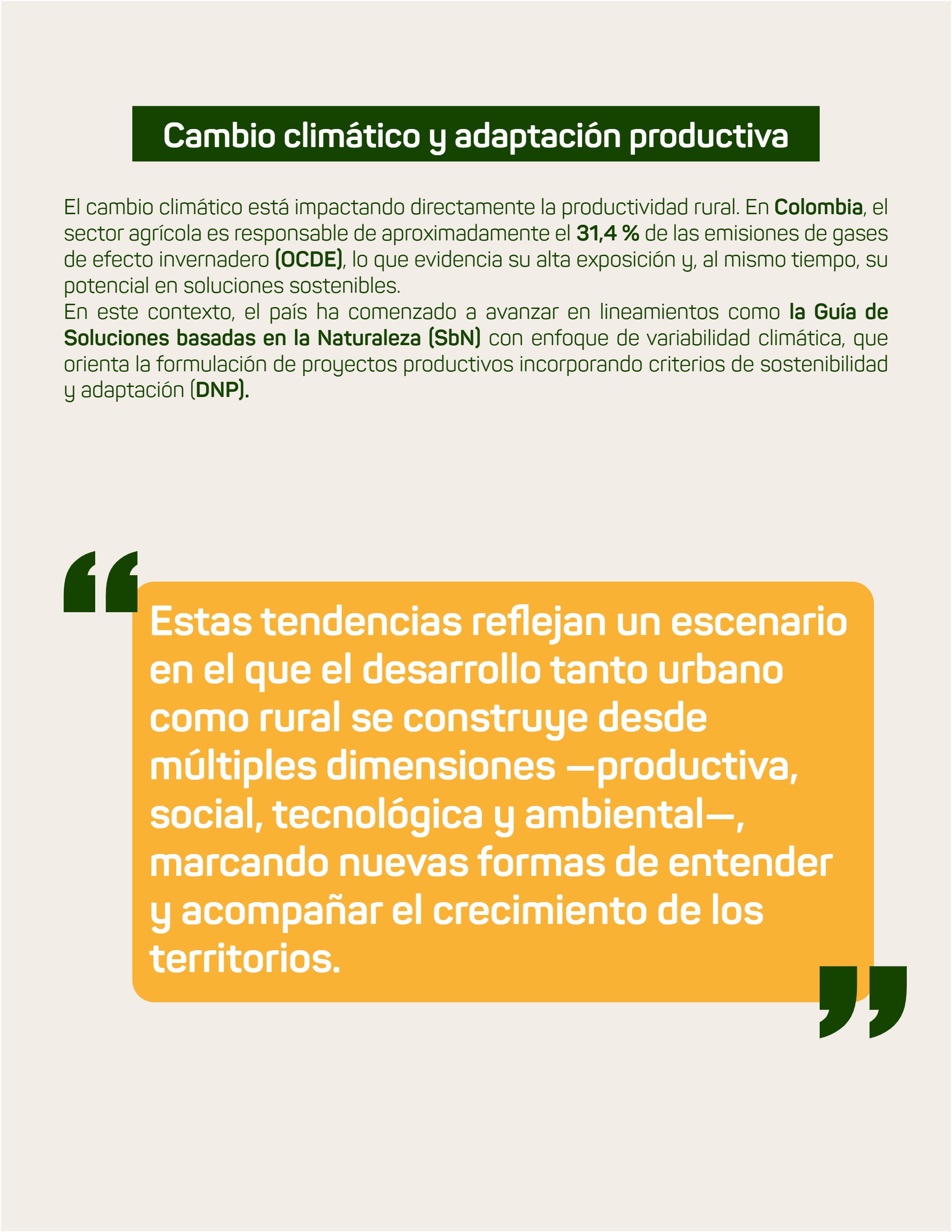 Boletín_Bimensual_Fundación Amanecer — page 43