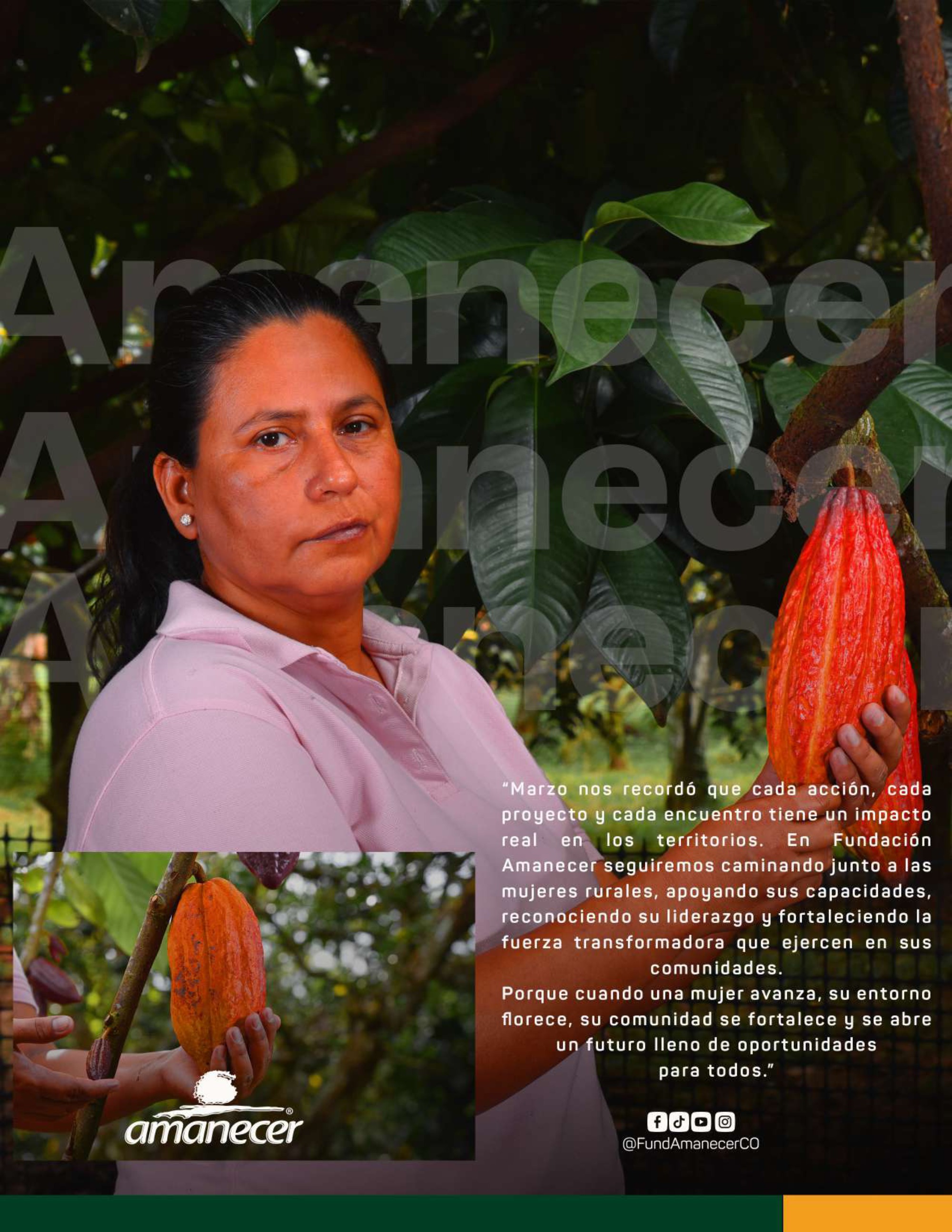 Boletín_Bimensual_Fundación Amanecer — page 44