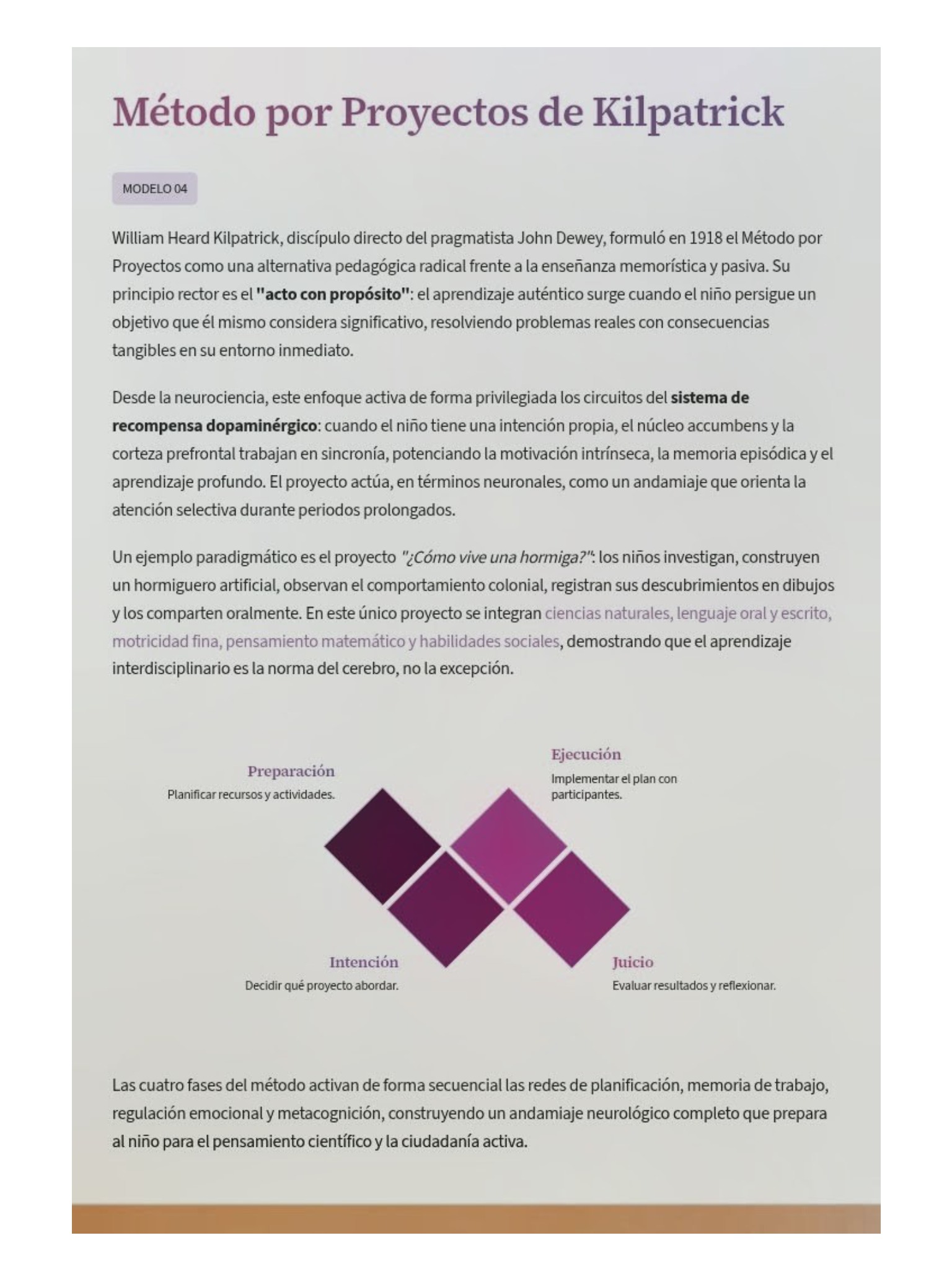 Revista Cerebros Plásticos — page 8