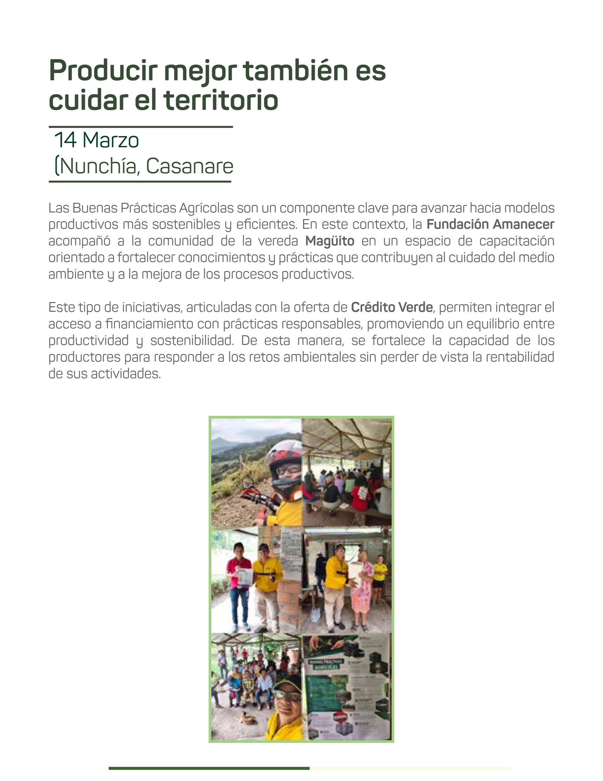 Boletín Fundación Amanecer — page 13