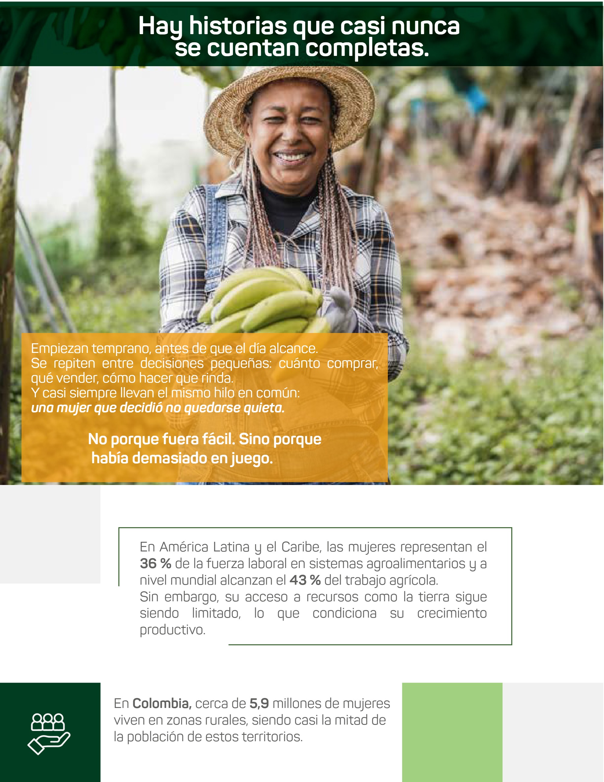 Boletín Fundación Amanecer — page 3