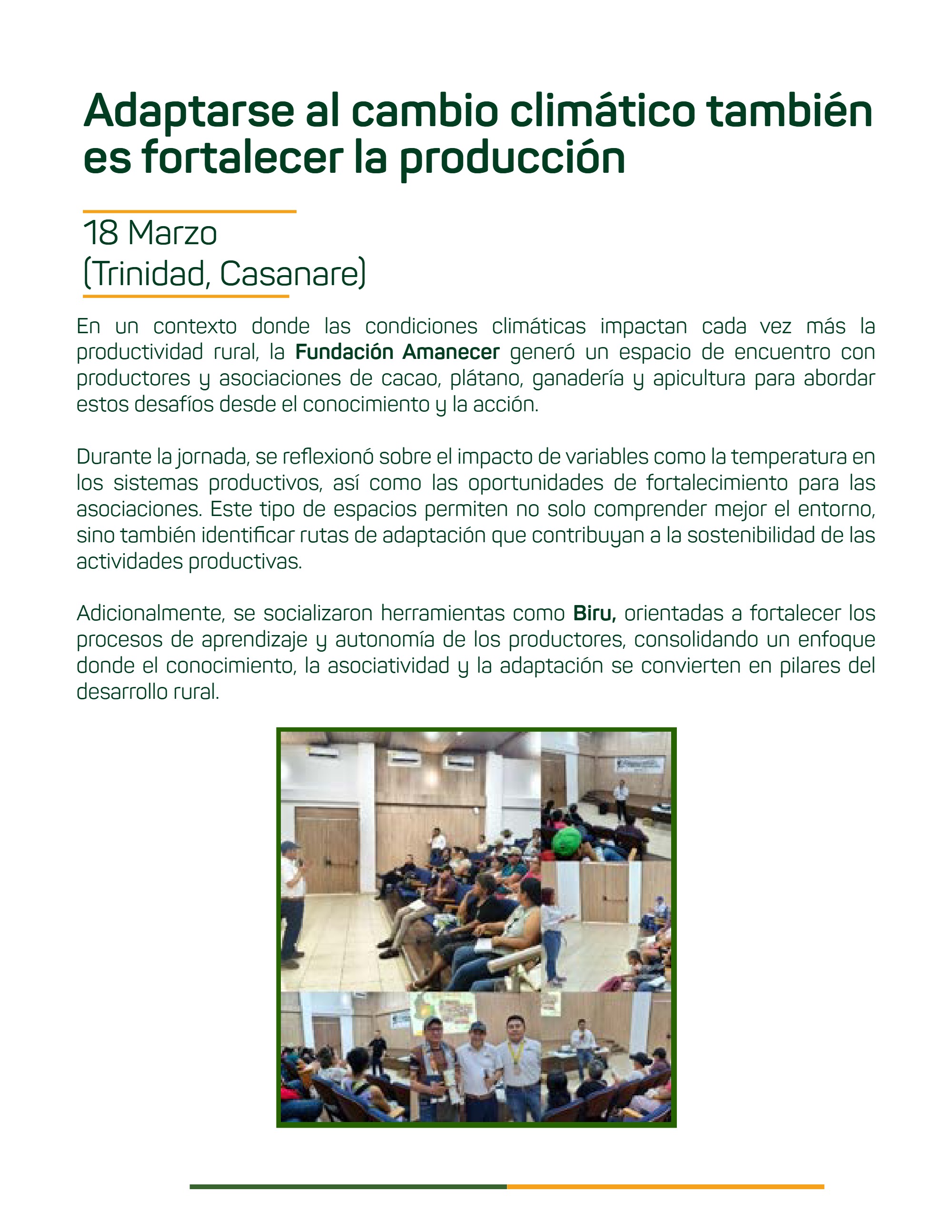Boletín Fundación Amanecer — page 26