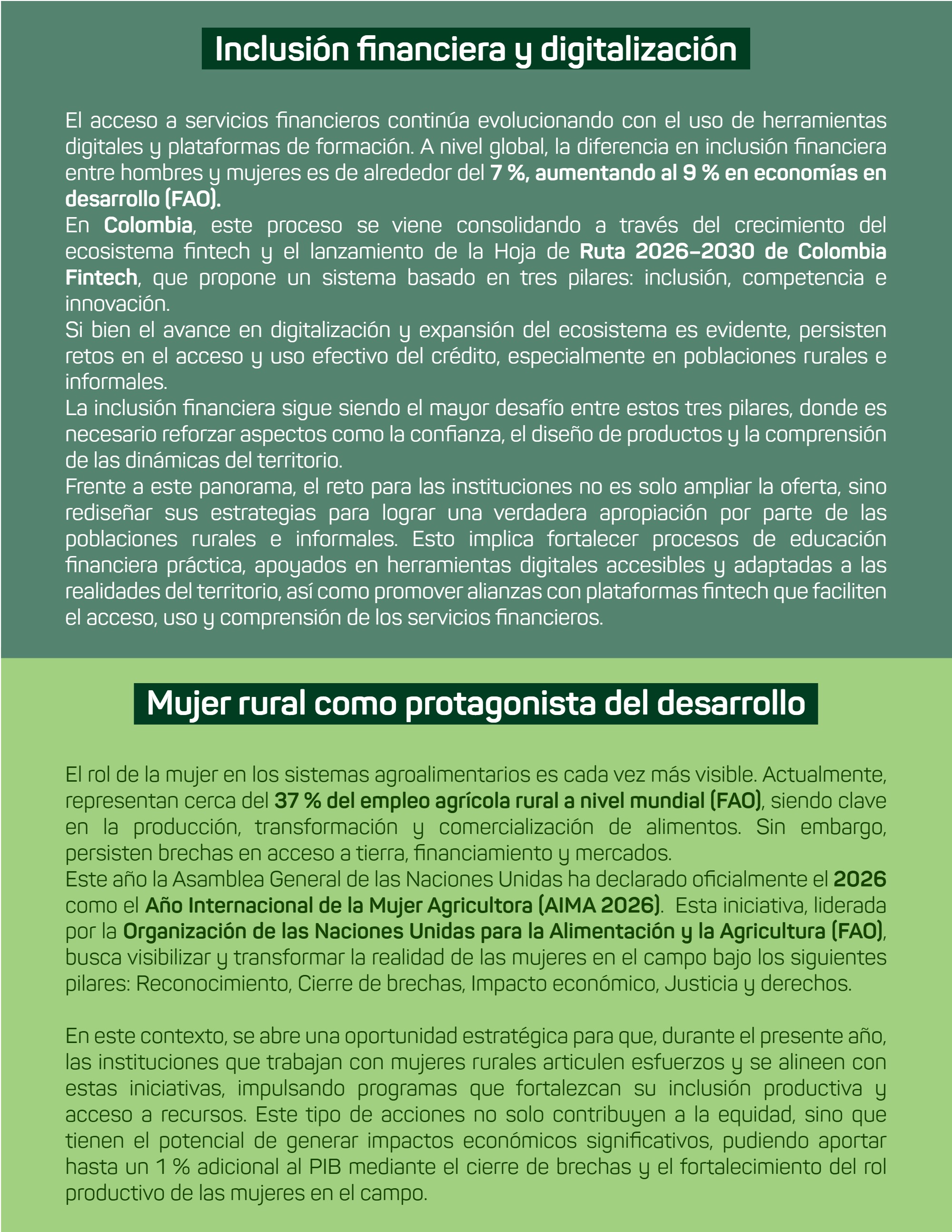 Boletín Fundación Amanecer — page 41