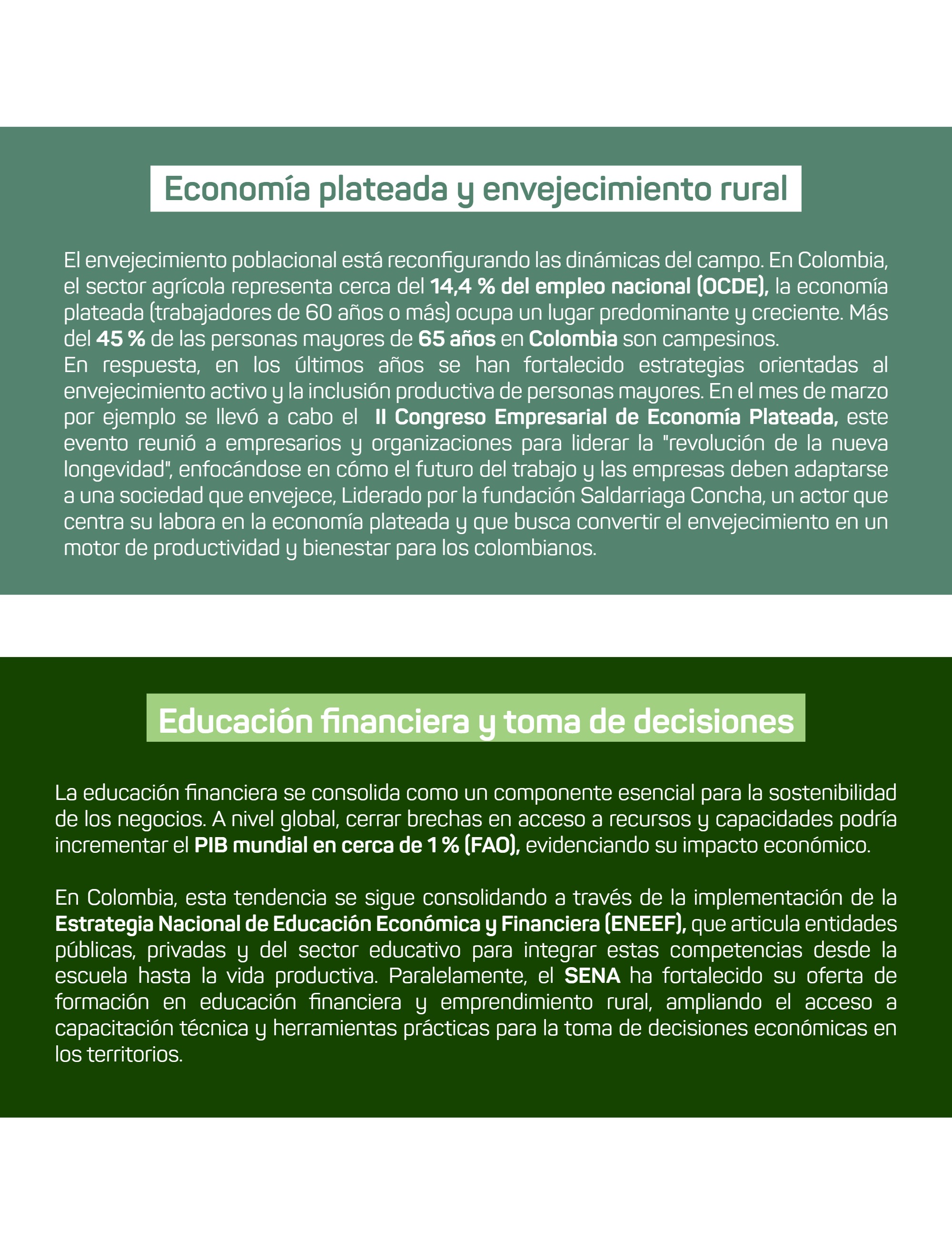 Boletín Fundación Amanecer — page 42