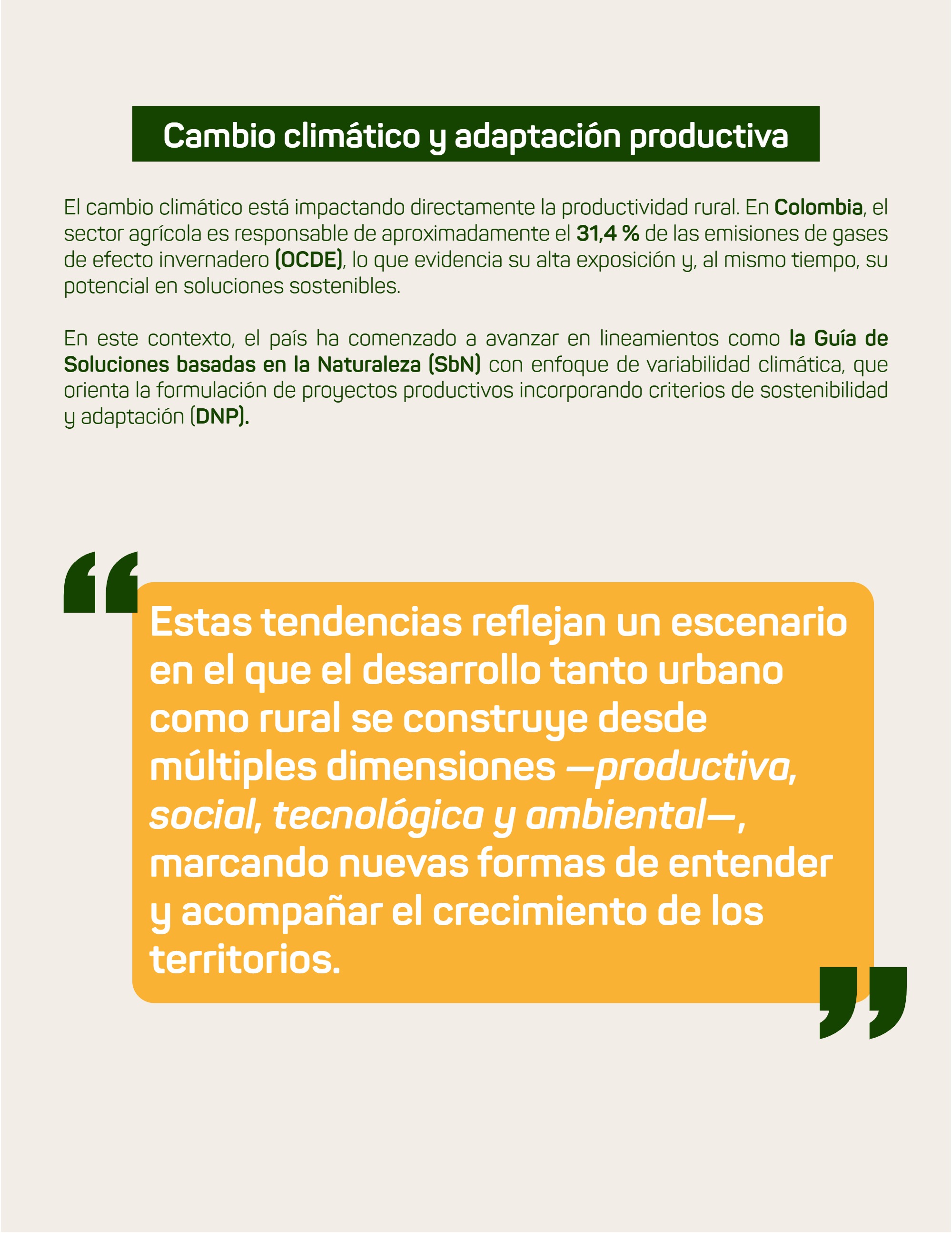 Boletín Fundación Amanecer — page 43
