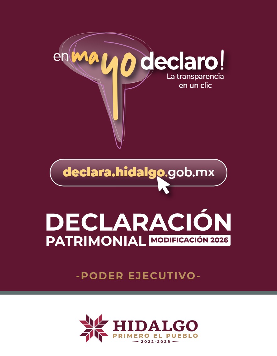 Manual Poder Ejecutivo Declaración Patrimonial 2026