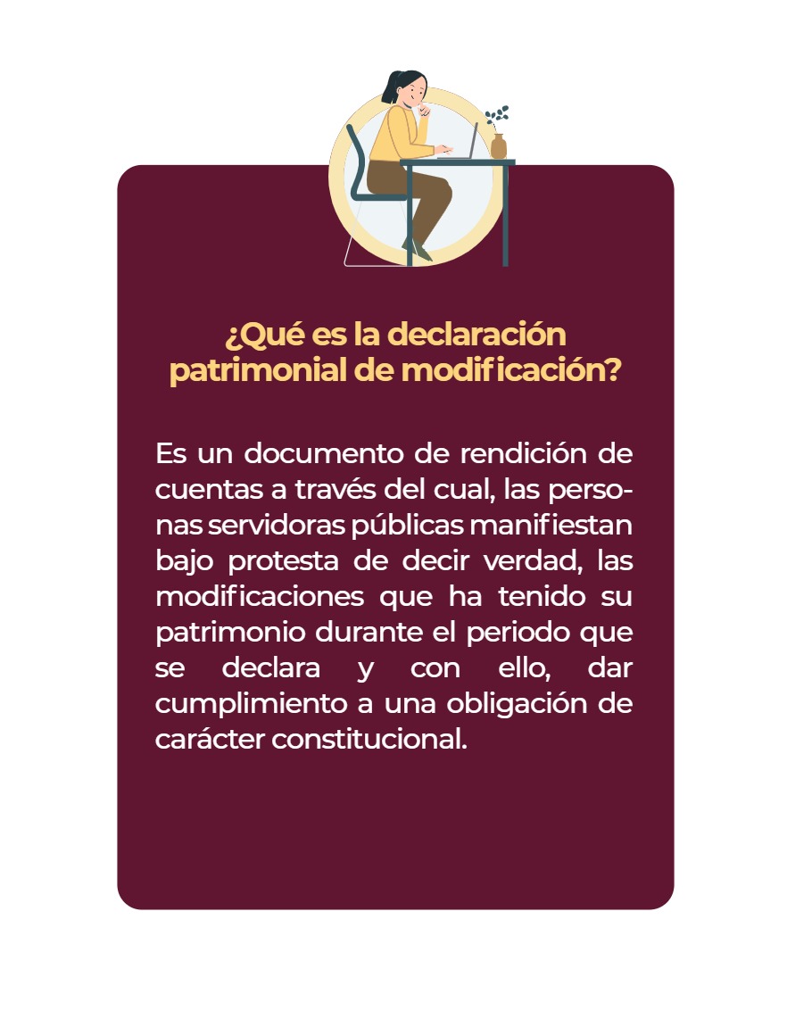Manual Poder Ejecutivo Declaración Patrimonial 2026 — page 2