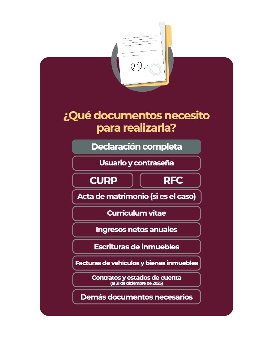 Manual Poder Ejecutivo Declaración Patrimonial 2026 — page 11