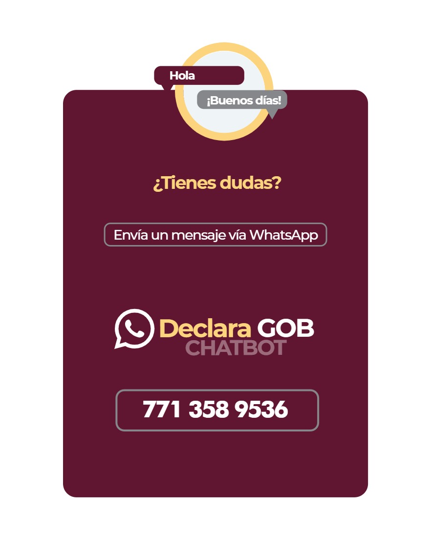Manual Poder Ejecutivo Declaración Patrimonial 2026 — page 12
