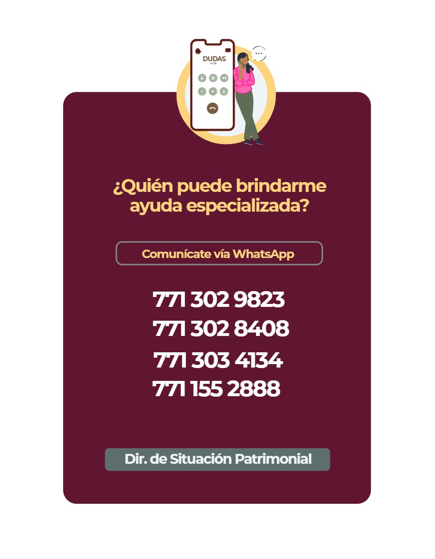 Manual Poder Ejecutivo Declaración Patrimonial 2026 — page 13