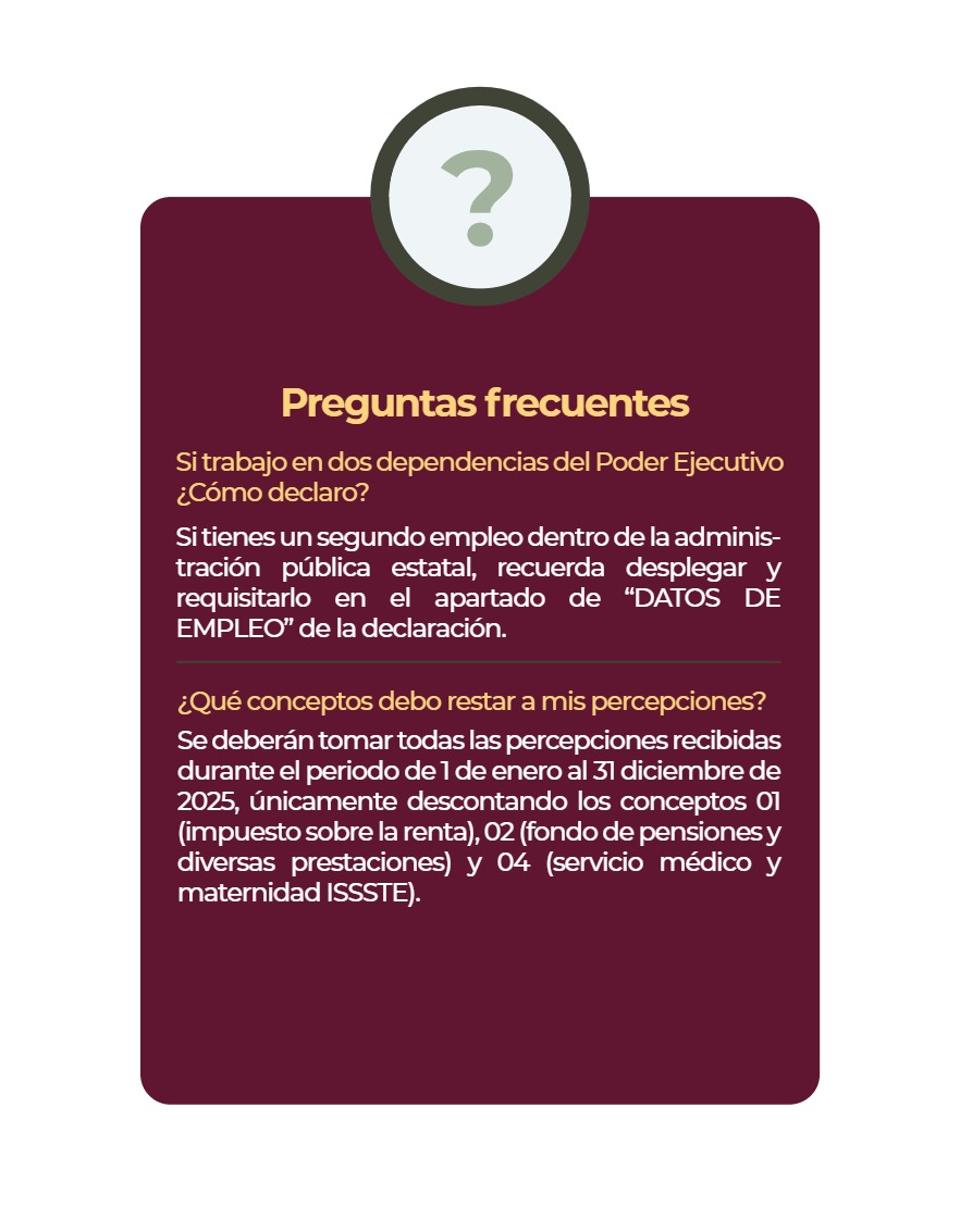 Manual Poder Ejecutivo Declaración Patrimonial 2026 — page 15
