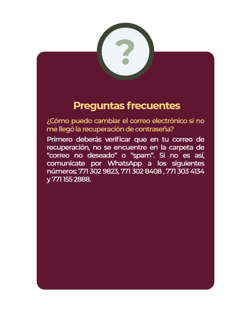 Manual Poder Ejecutivo Declaración Patrimonial 2026 — page 16