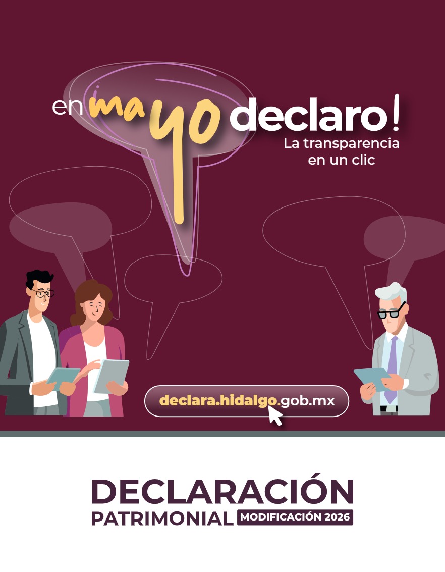 Manual Poder Ejecutivo Declaración Patrimonial 2026 — page 17