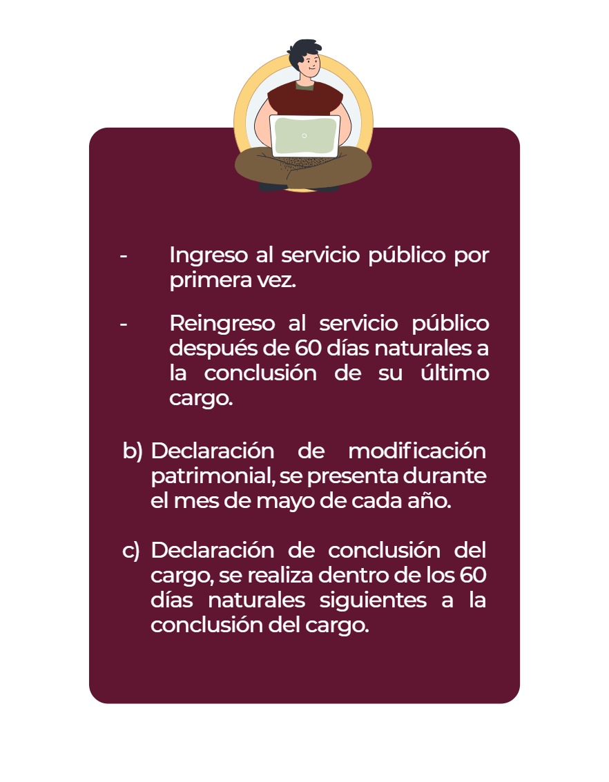 Manual Poder Ejecutivo Declaración Patrimonial 2026 — page 4