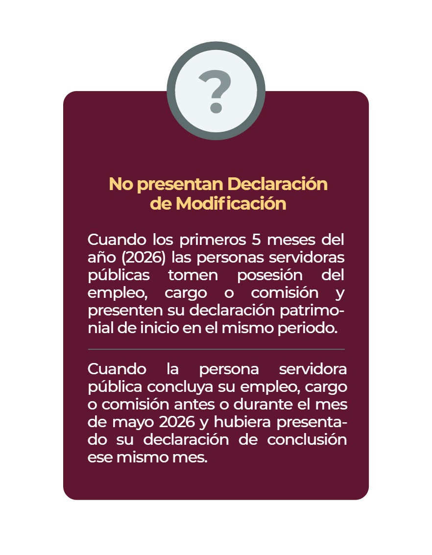 Manual Poder Ejecutivo Declaración Patrimonial 2026 — page 8