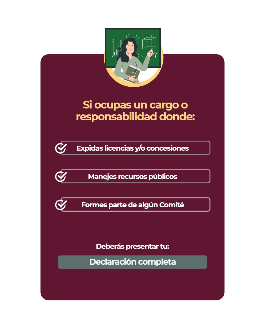 Manual Poder Ejecutivo Declaración Patrimonial 2026 — page 9