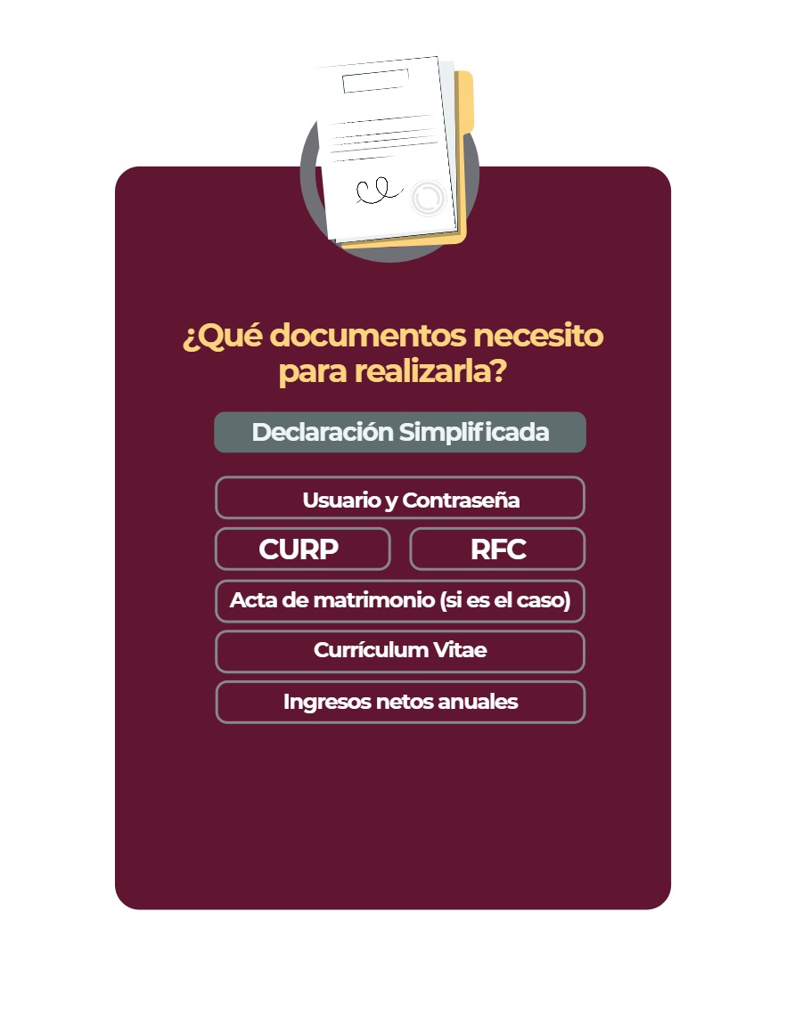 Manual Poder Ejecutivo Declaración Patrimonial 2026 — page 10