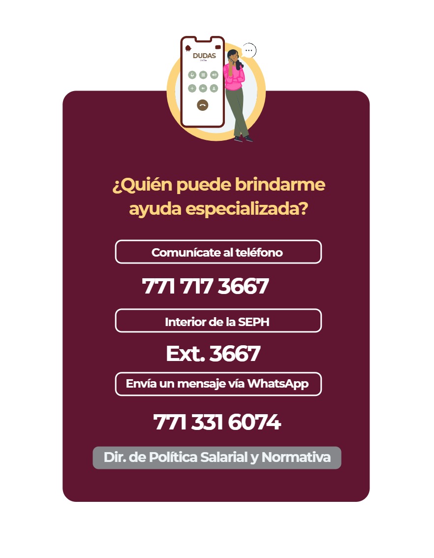 Manual Educación Básica Declaración Patrimonial 2026 — page 12