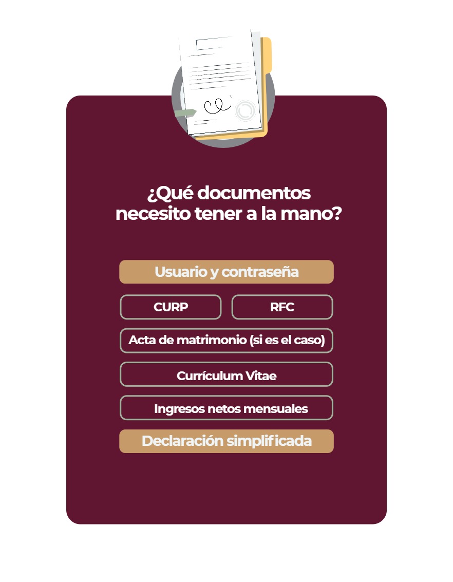 Manual Educación Básica Declaración Patrimonial 2026 — page 8