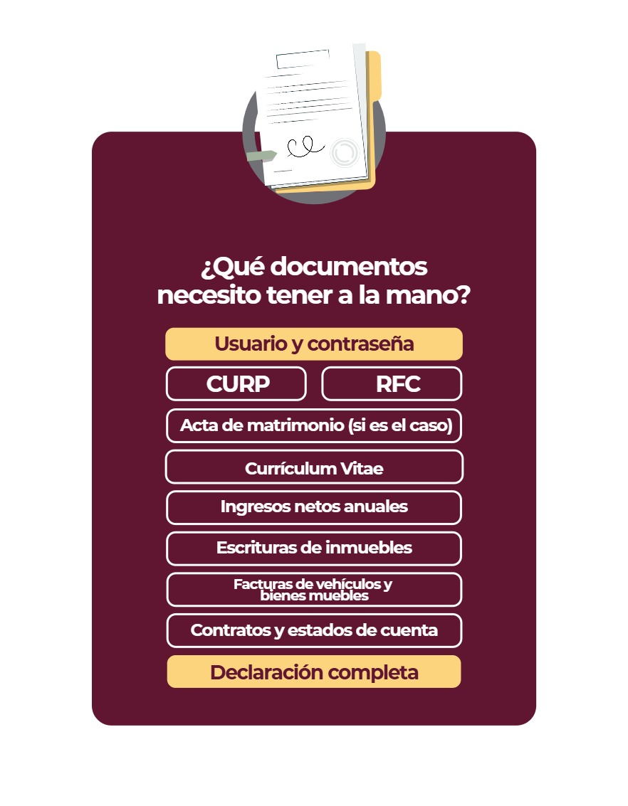 Manual Educación Básica Declaración Patrimonial 2026 — page 10