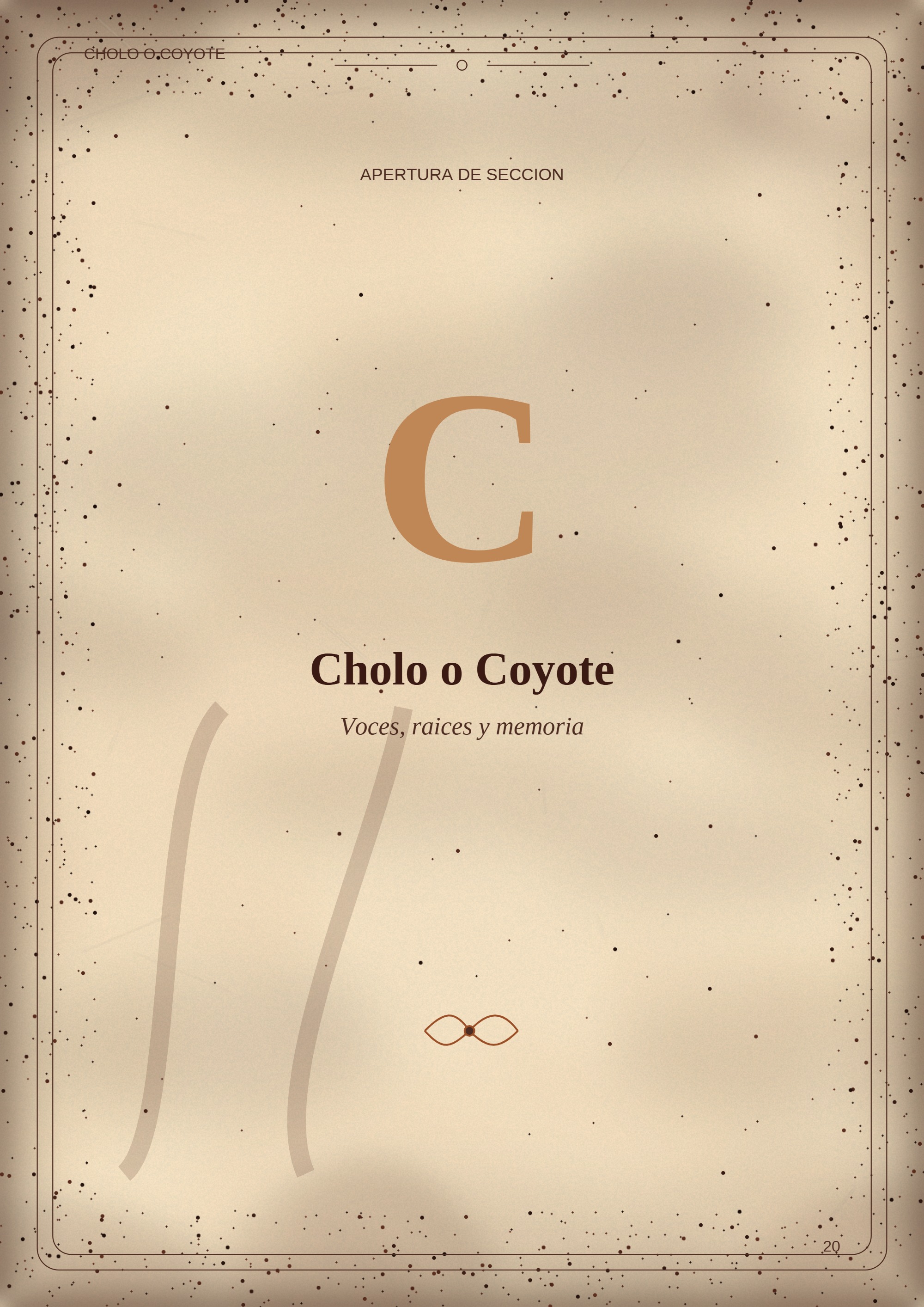 ebook diccionario — page 20