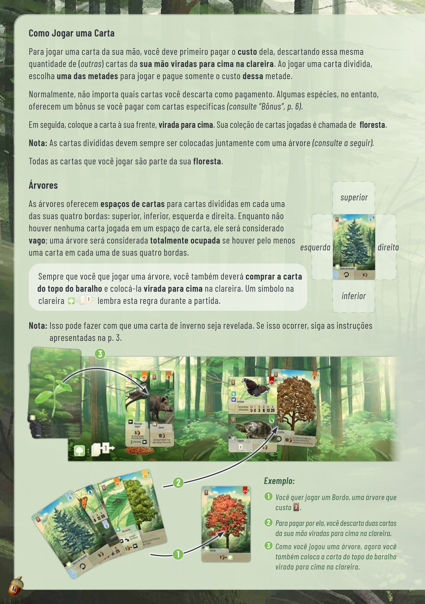 forest_shuffle_manual_de_regras_em_pt_br_289337 — page 4