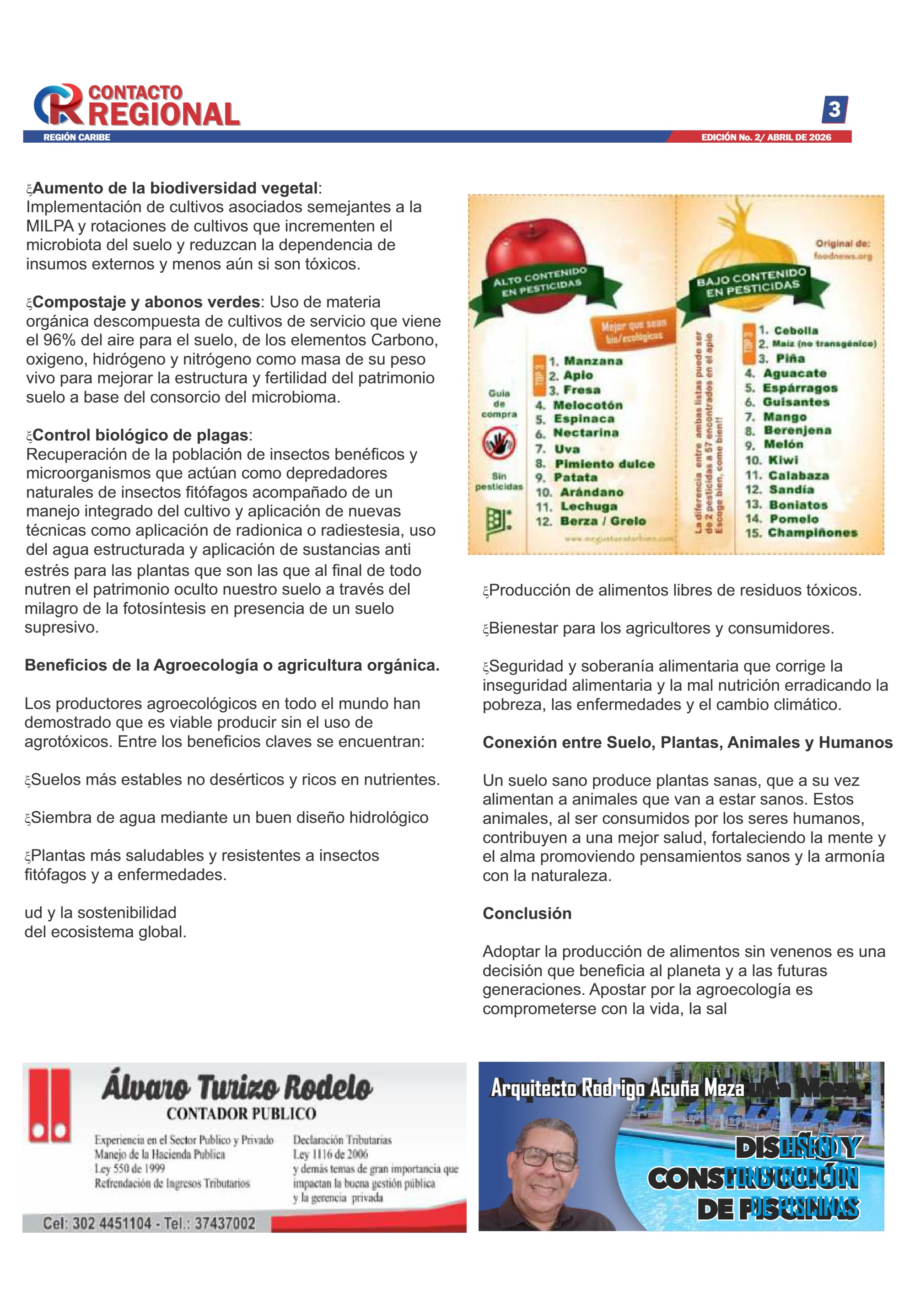 CONTACTO REGIONAL VIRTUAL — page 3