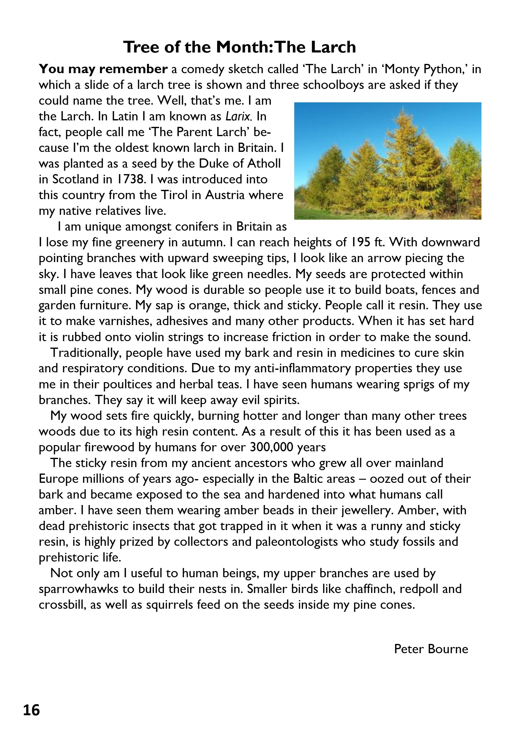 St Mary the Blesssed Virgin Magazine April 2026 — page 16