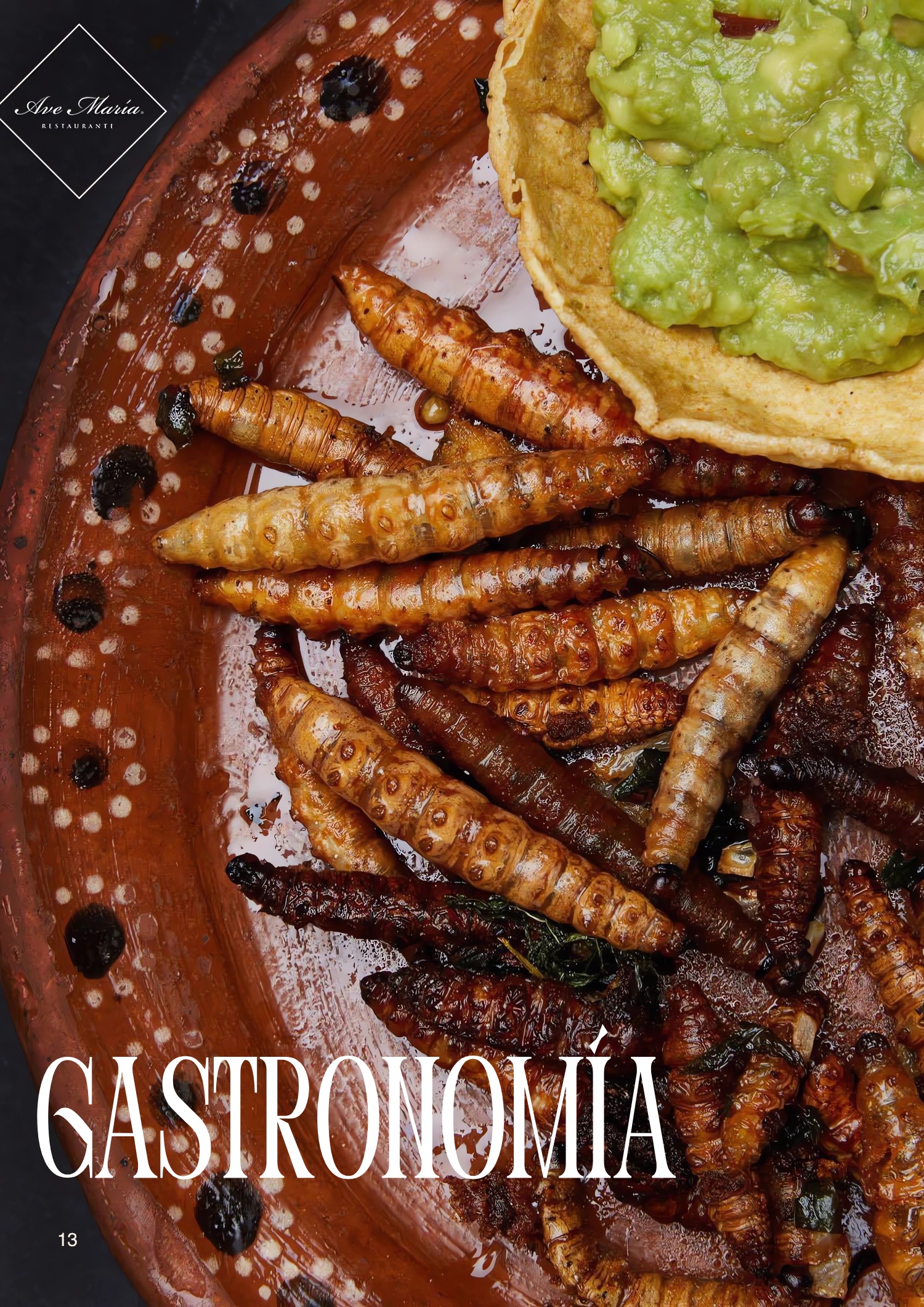 Revista cultural Tlaxcalzil — page 13