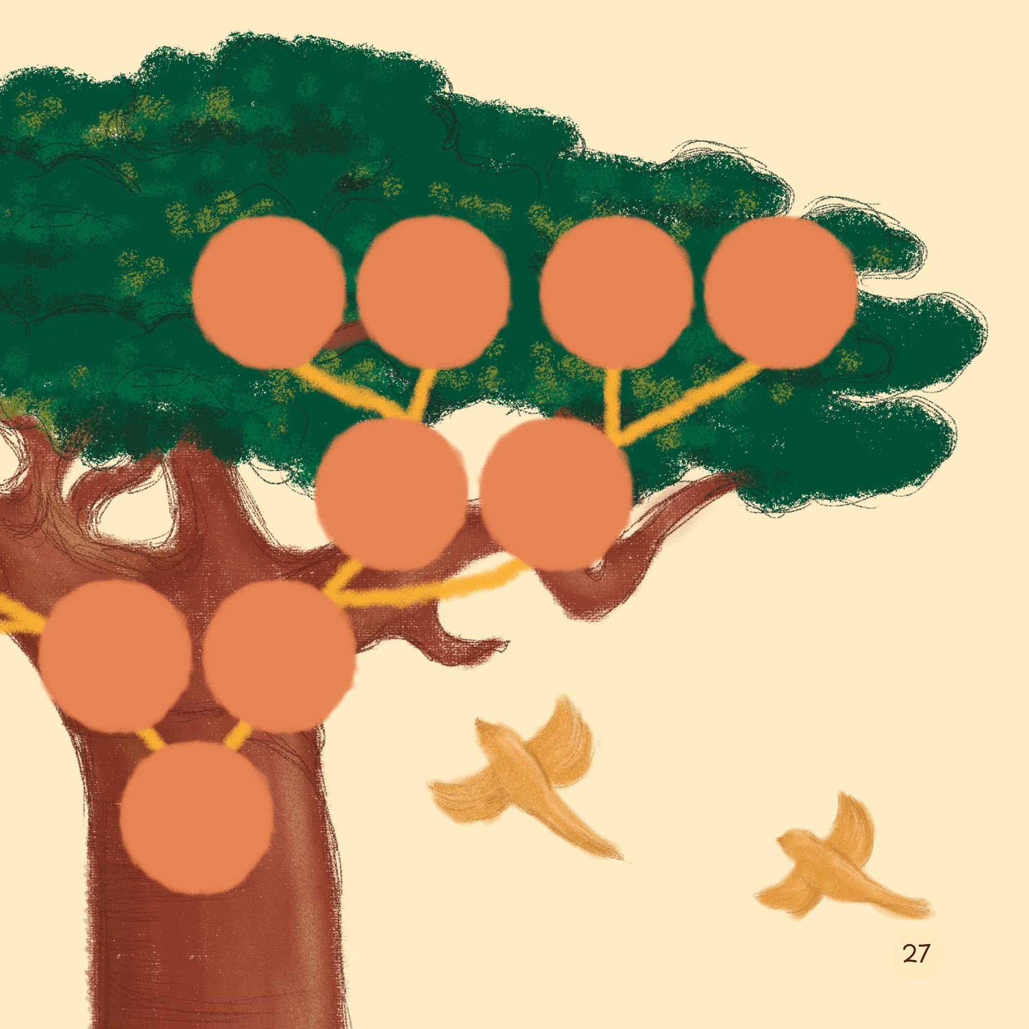 De onde veio o vovô? — page 27