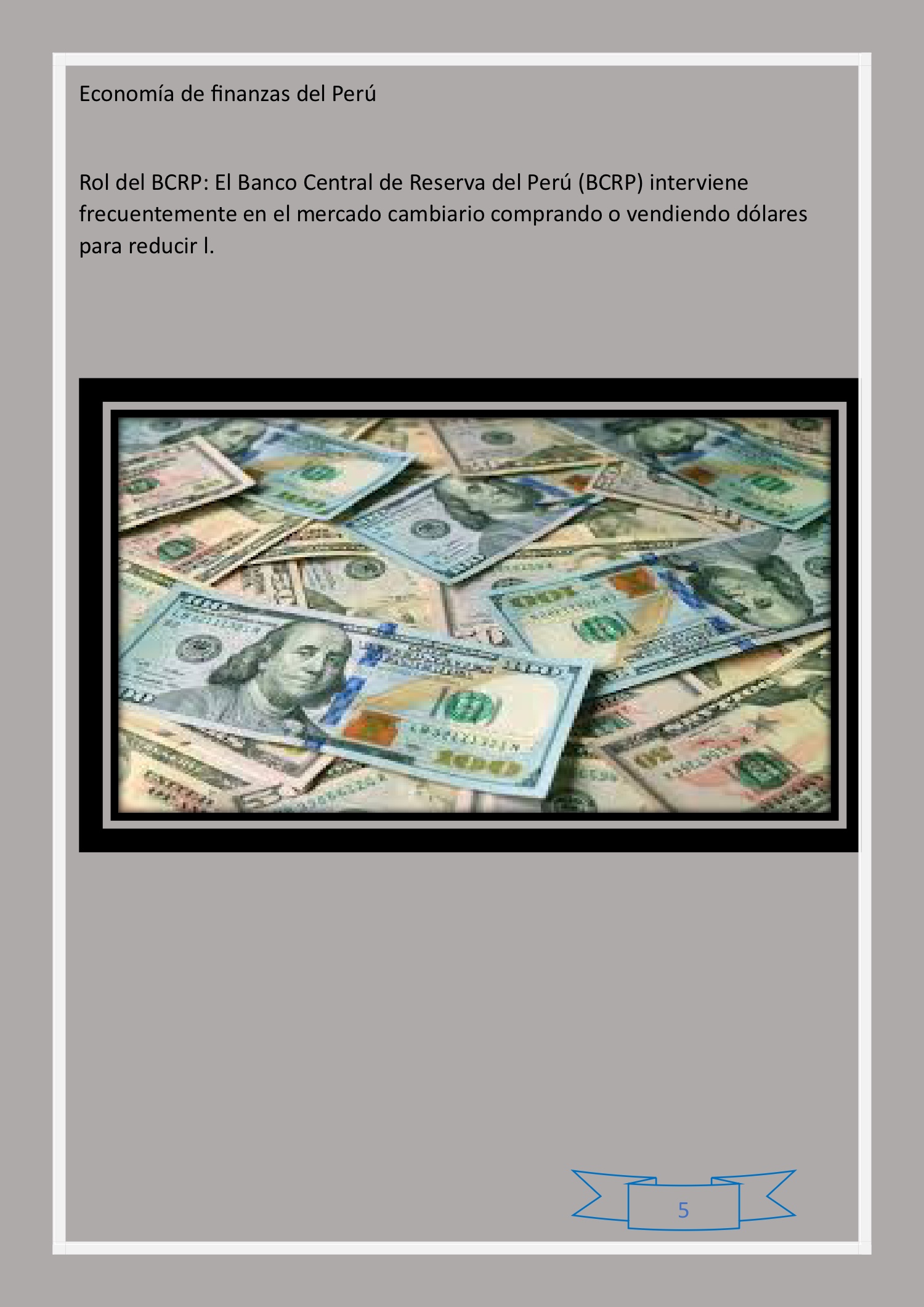 revista(1) — page 5