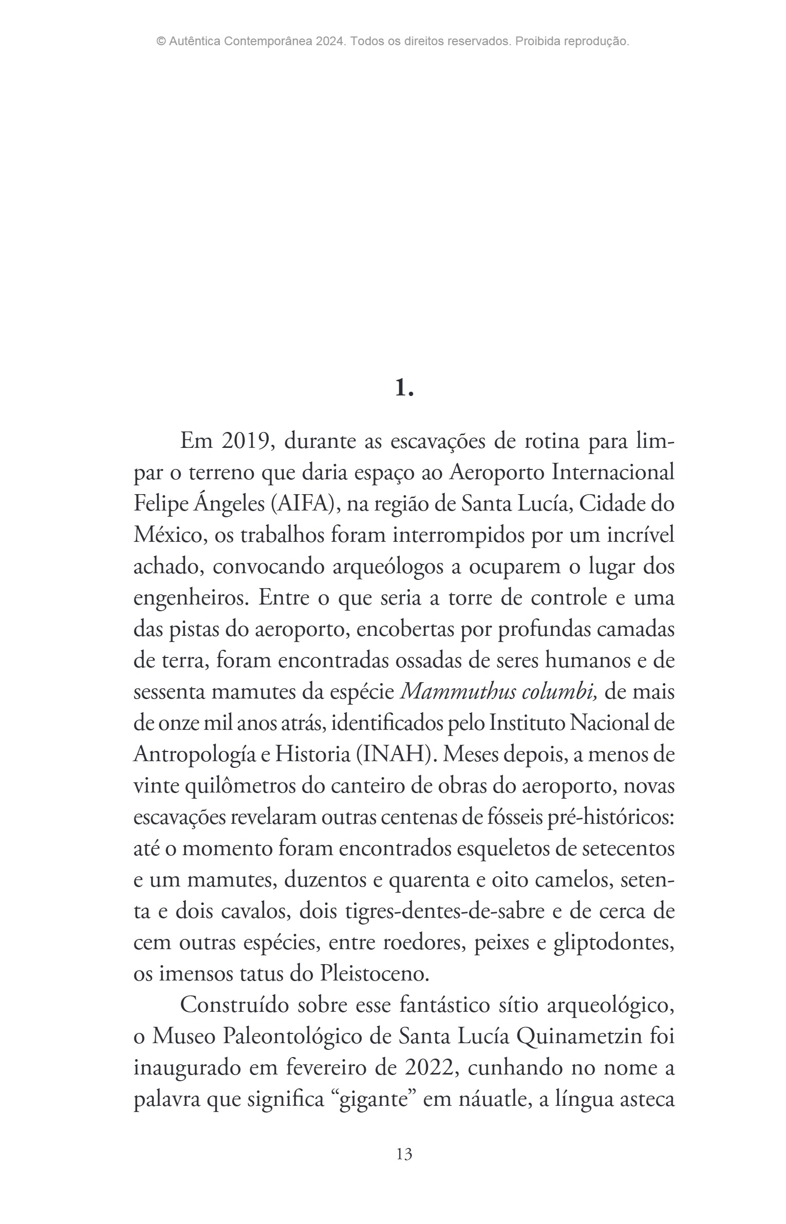 Ressucitar mamutes (Silvana Tavano) — page 14