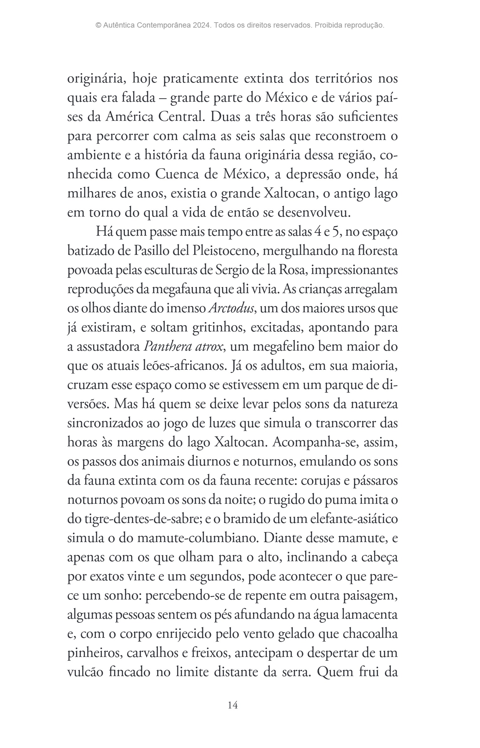 Ressucitar mamutes (Silvana Tavano) — page 15