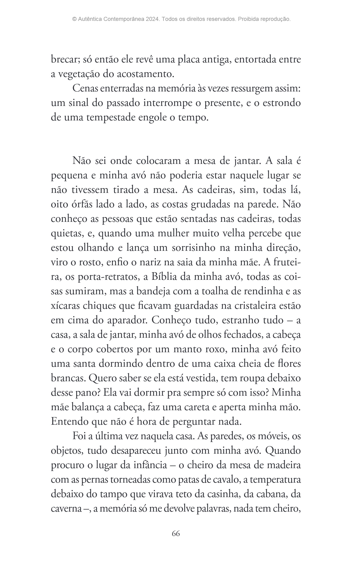 Ressucitar mamutes (Silvana Tavano) — page 67