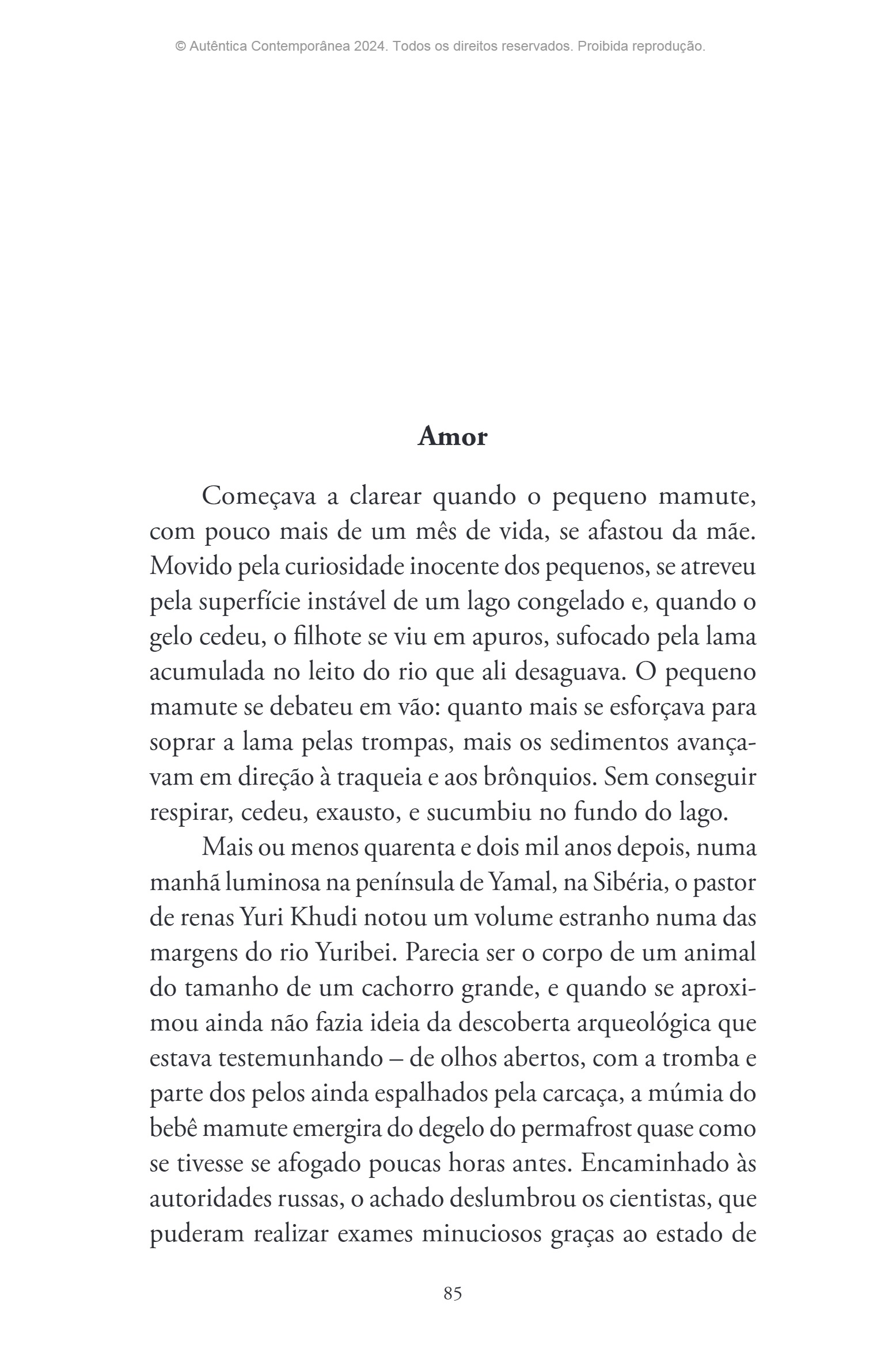 Ressucitar mamutes (Silvana Tavano) — page 86
