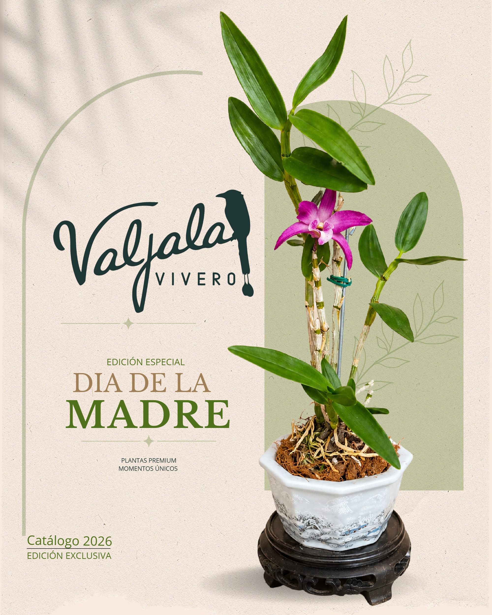 Catálogo Día de las Madres 
