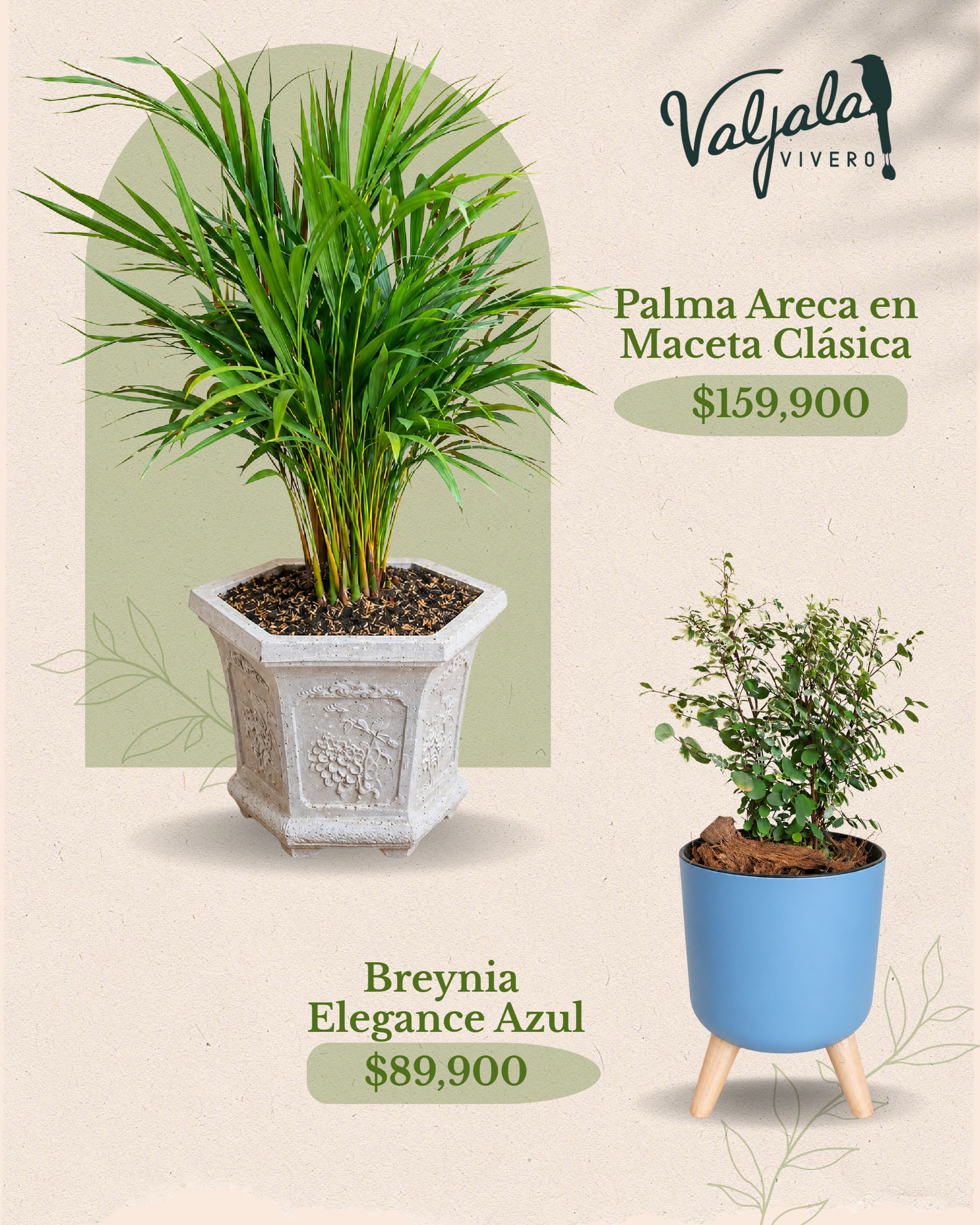 Catálogo Día de las Madres — page 7