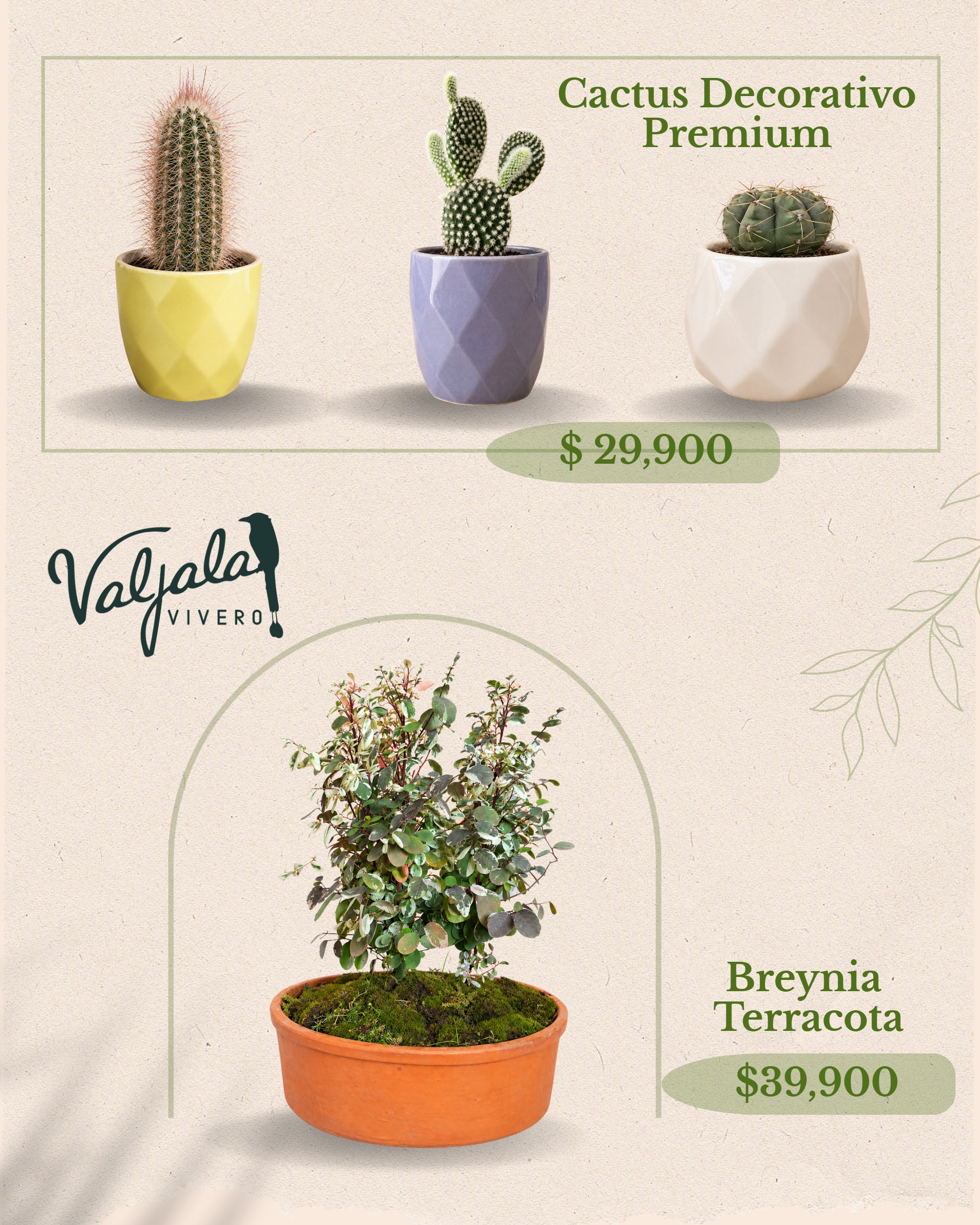 Catálogo Día de las Madres — page 9
