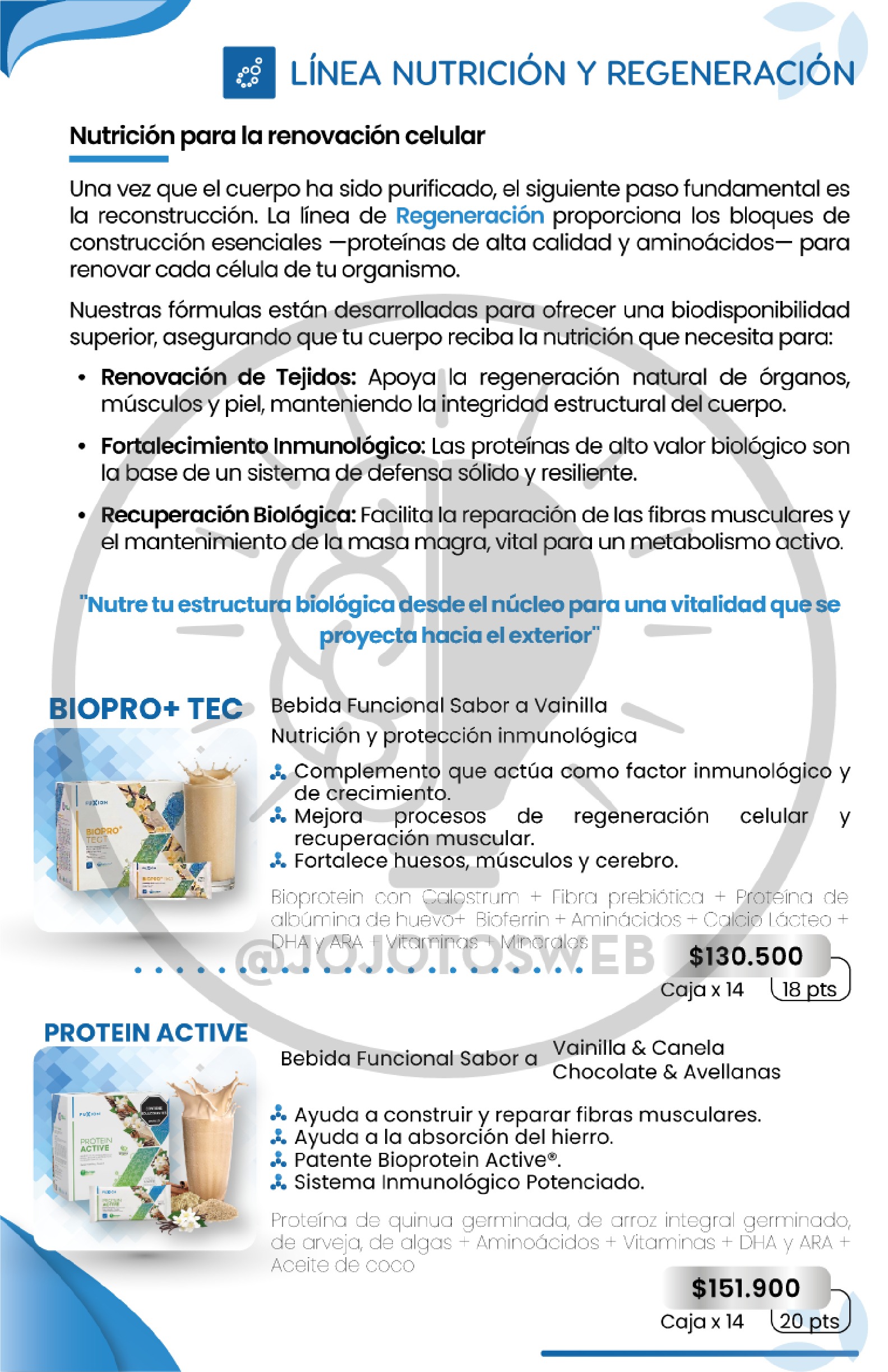 Catalogo de Bebidas Fuxion — page 8