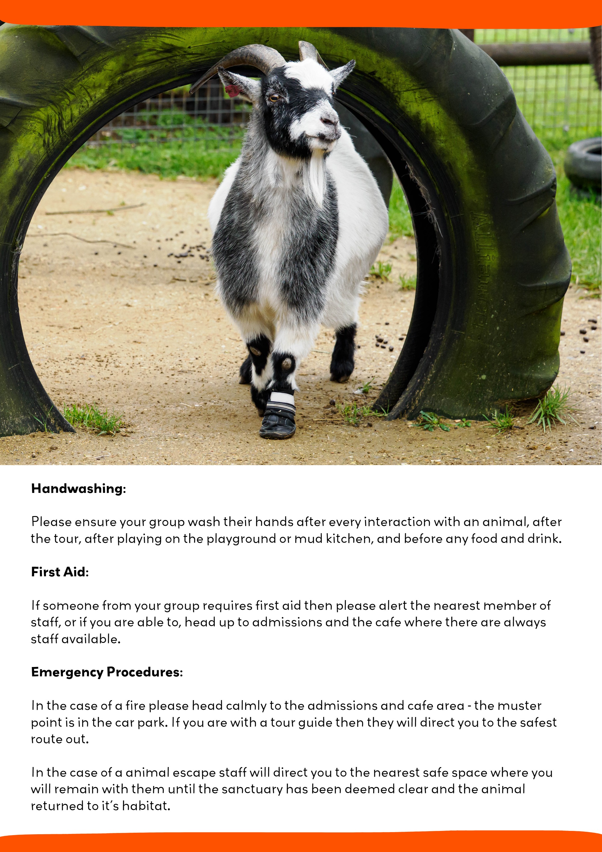 Guide for Educators — page 11