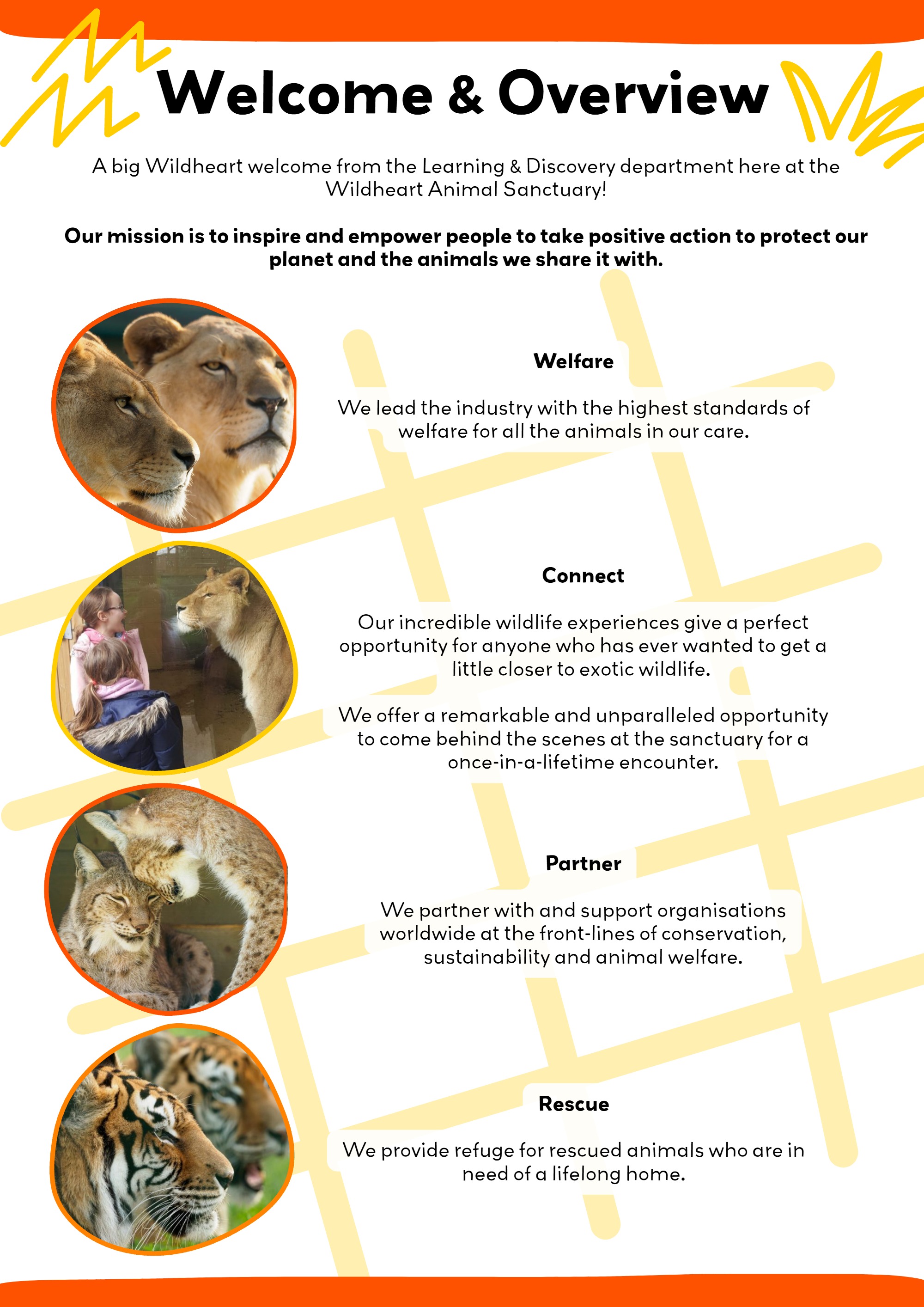 Guide for Educators — page 3