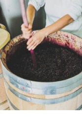 WINE BOOK — page 20