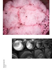 WINE BOOK — page 21